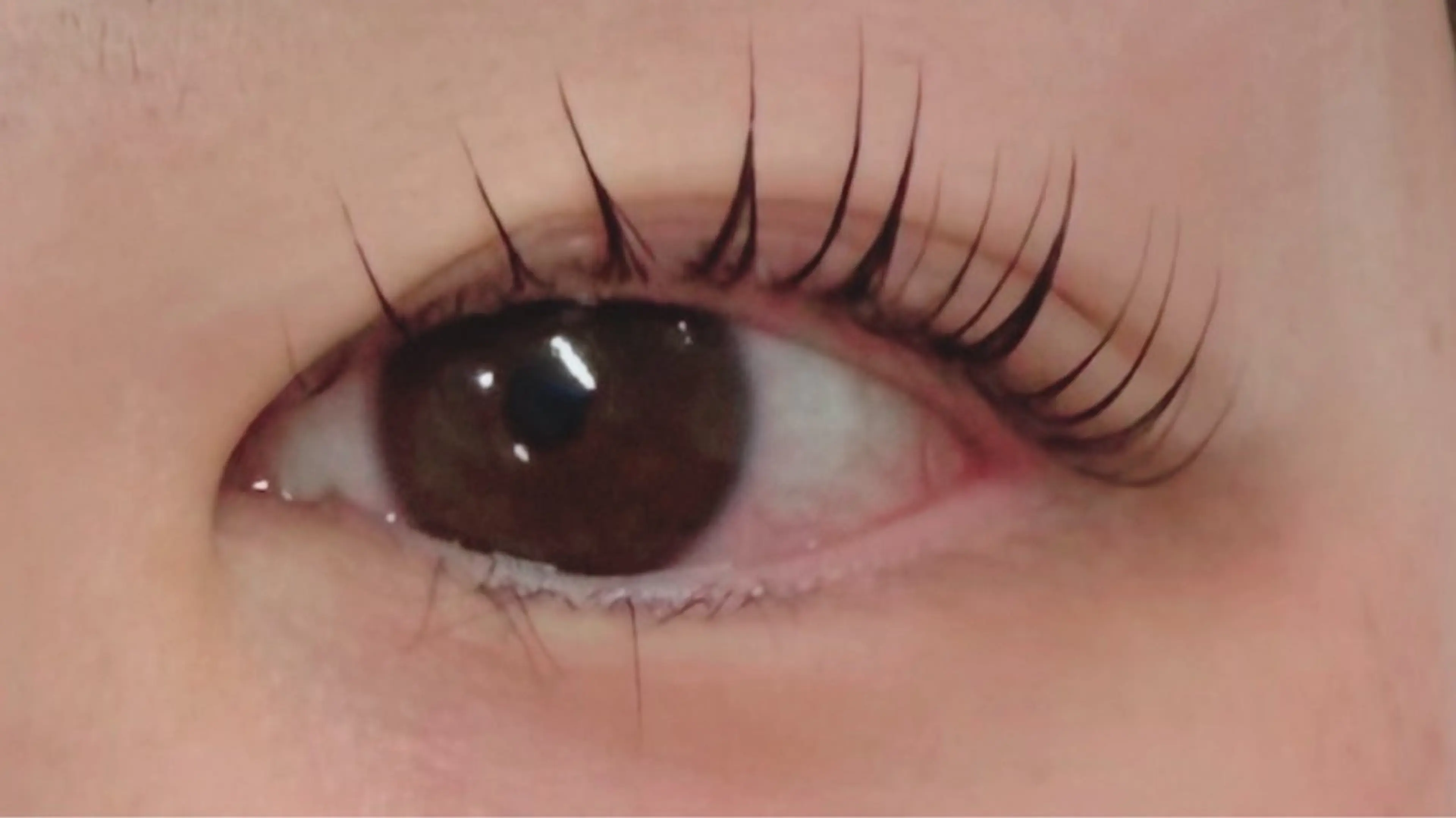 マツエク・マツパ ココラッシュ 町屋店のマツエク・マツパデザイン