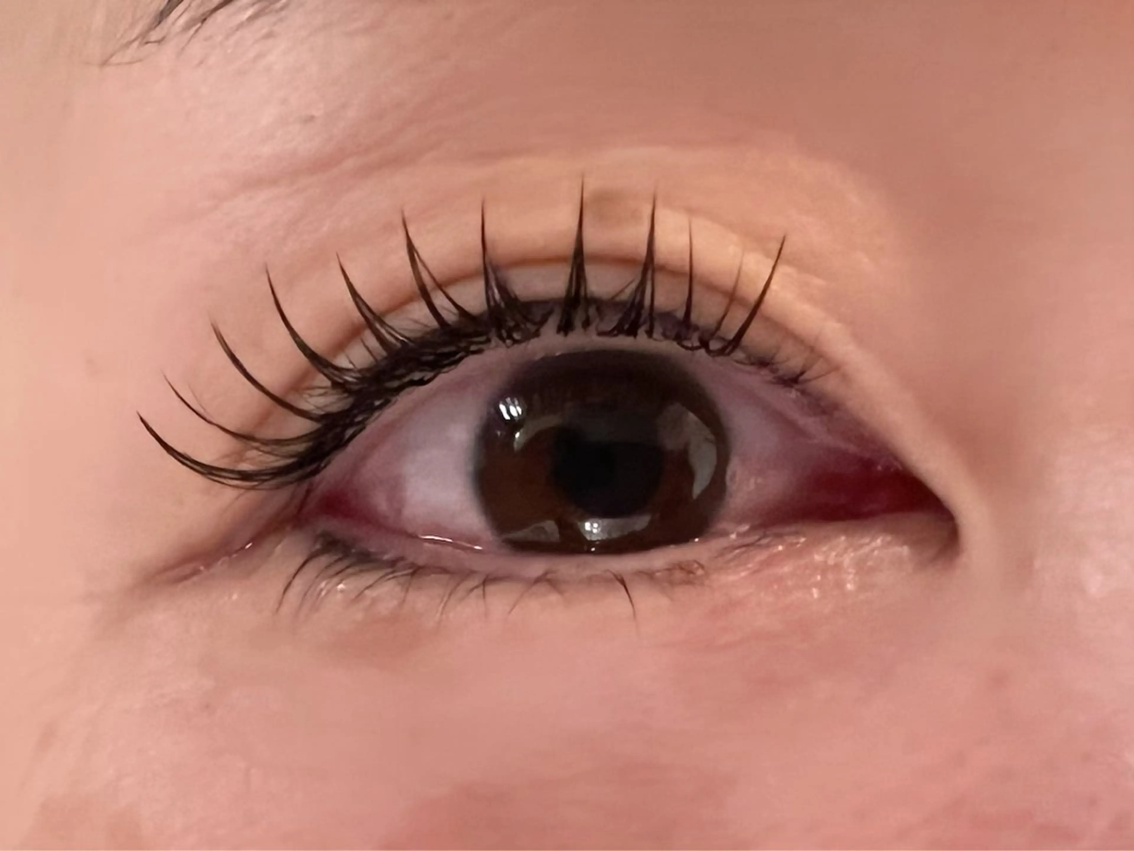 マツエク・マツパ Cカール マツエク eyelash salon scintiller所属・scintiler 🫧のマツエク・マツパデザイン