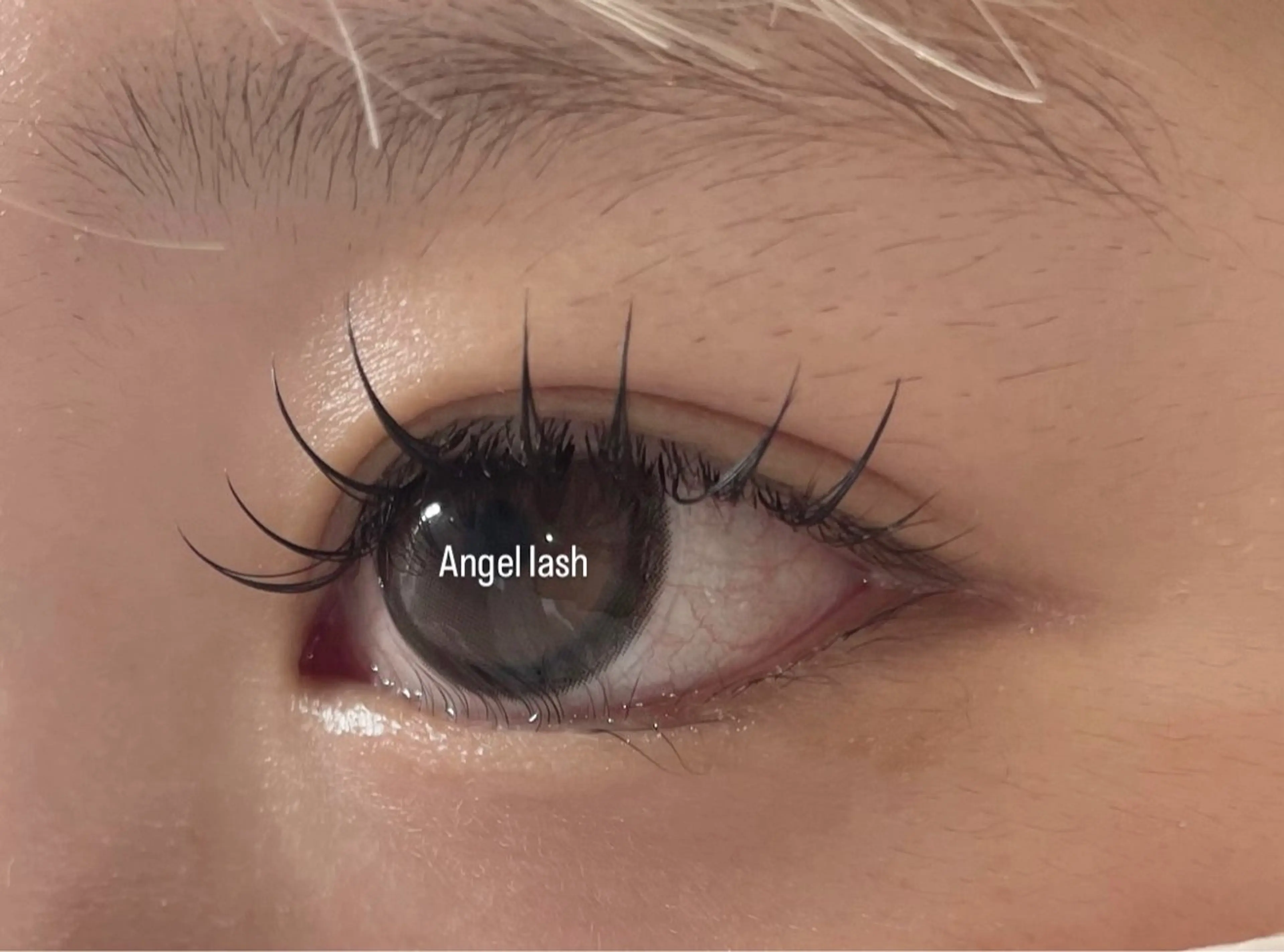 マツエク・マツパ Angel lash kanekoのマツエク・マツパデザイン