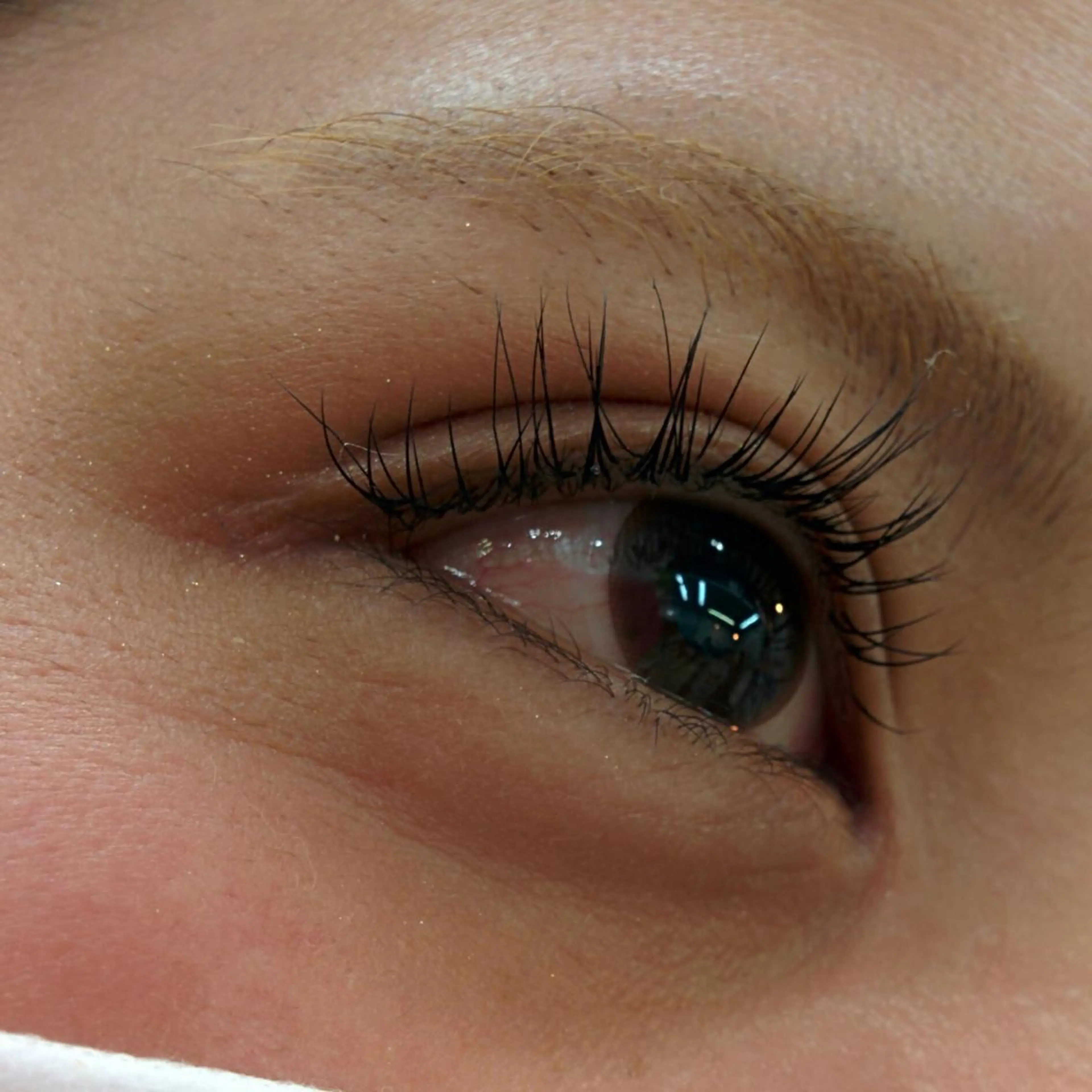 まつエク SG アイラッシュ ラッシュリフト🌟のその他イメージ