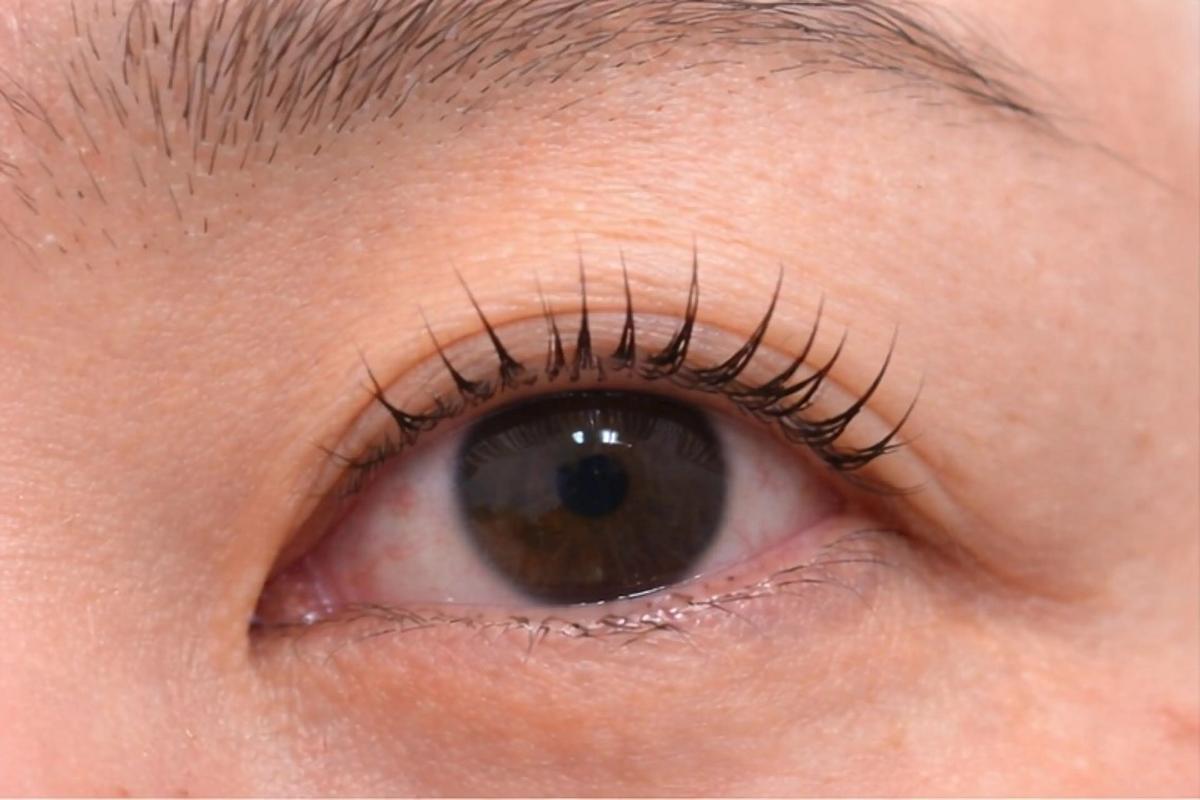 マツエク・マツパ マツパ fleur Manakaのマツエク・マツパデザイン