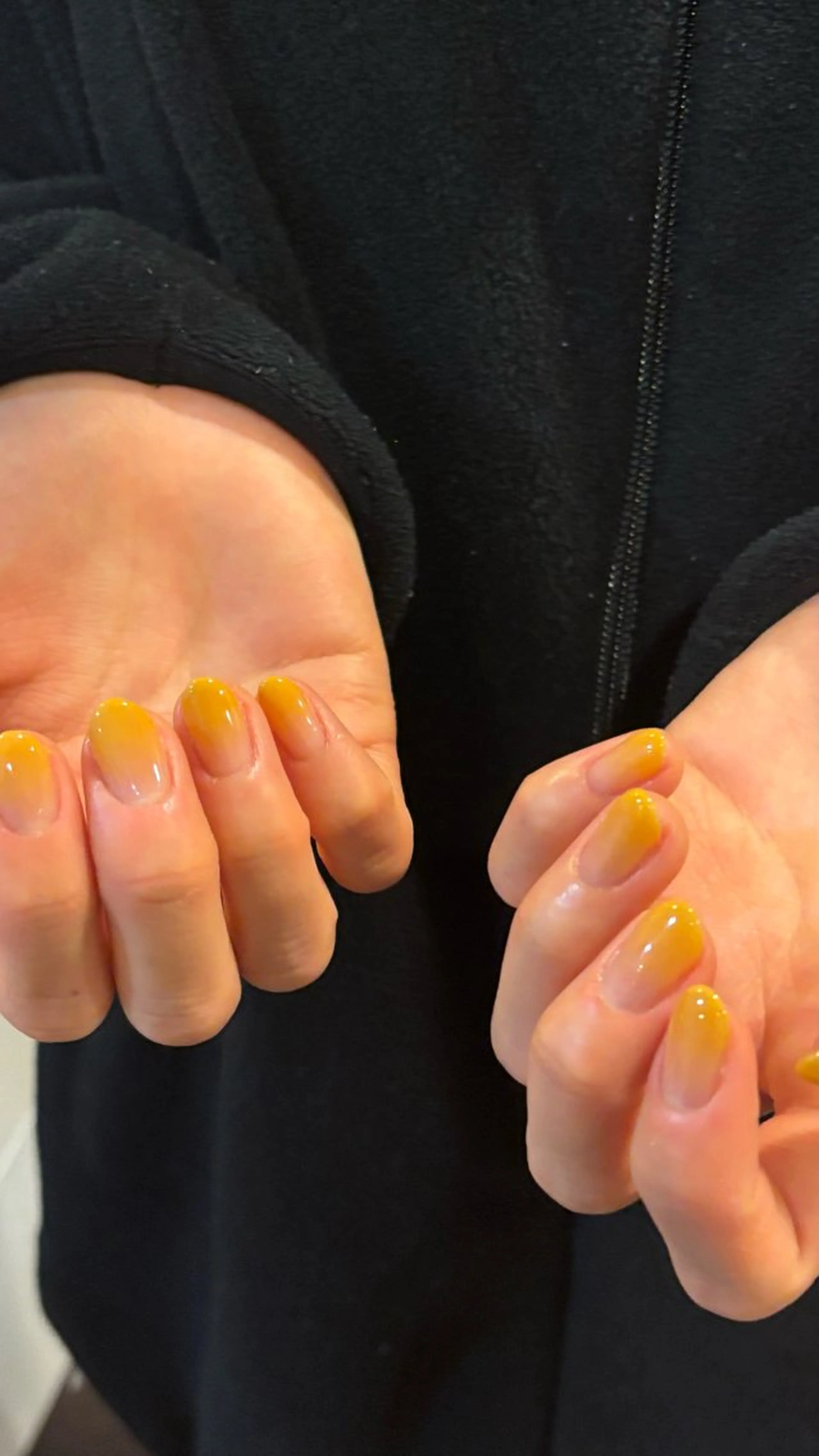 カラーグラデーションの写真