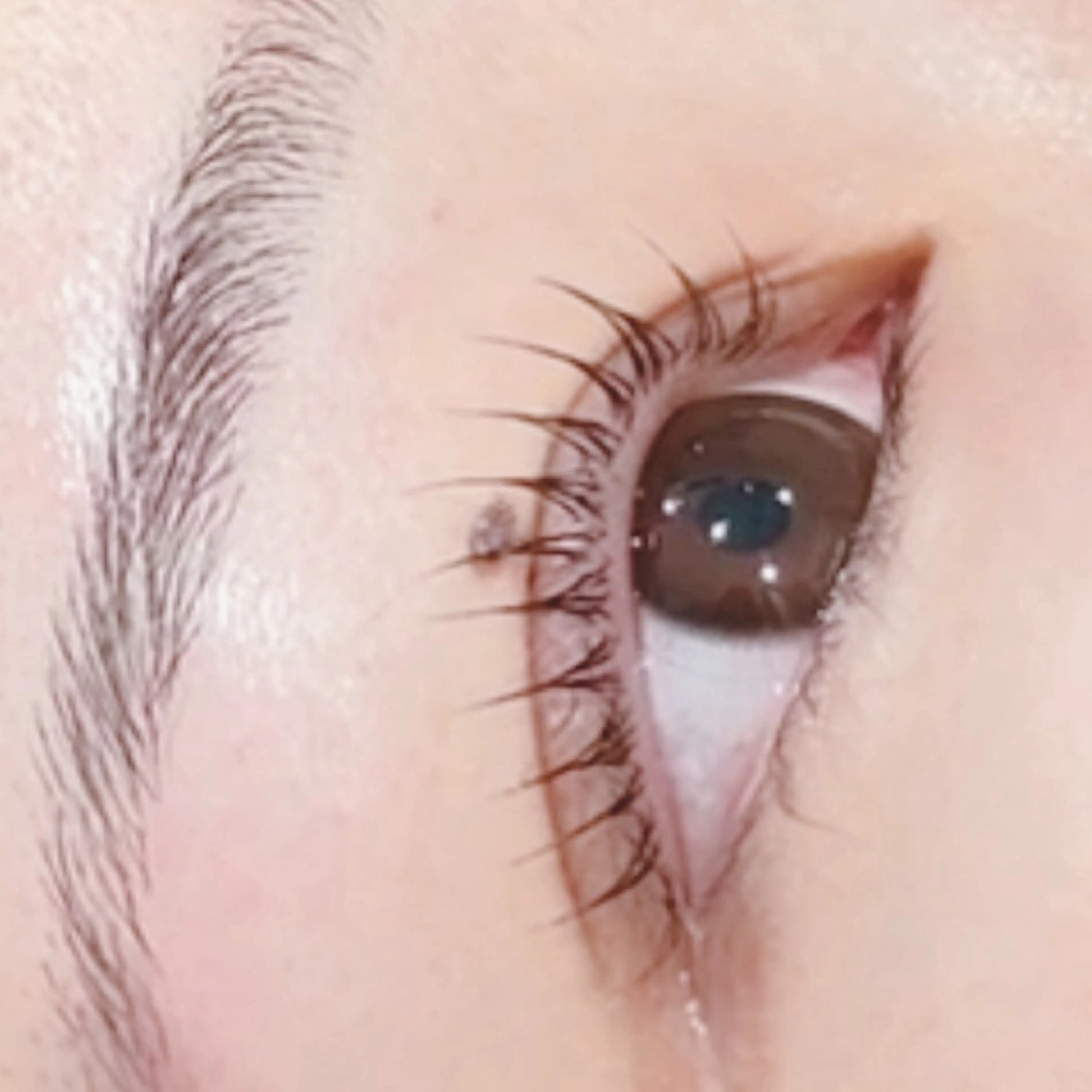 マツエク・マツパ betty hanaokaのマツエク・マツパデザイン