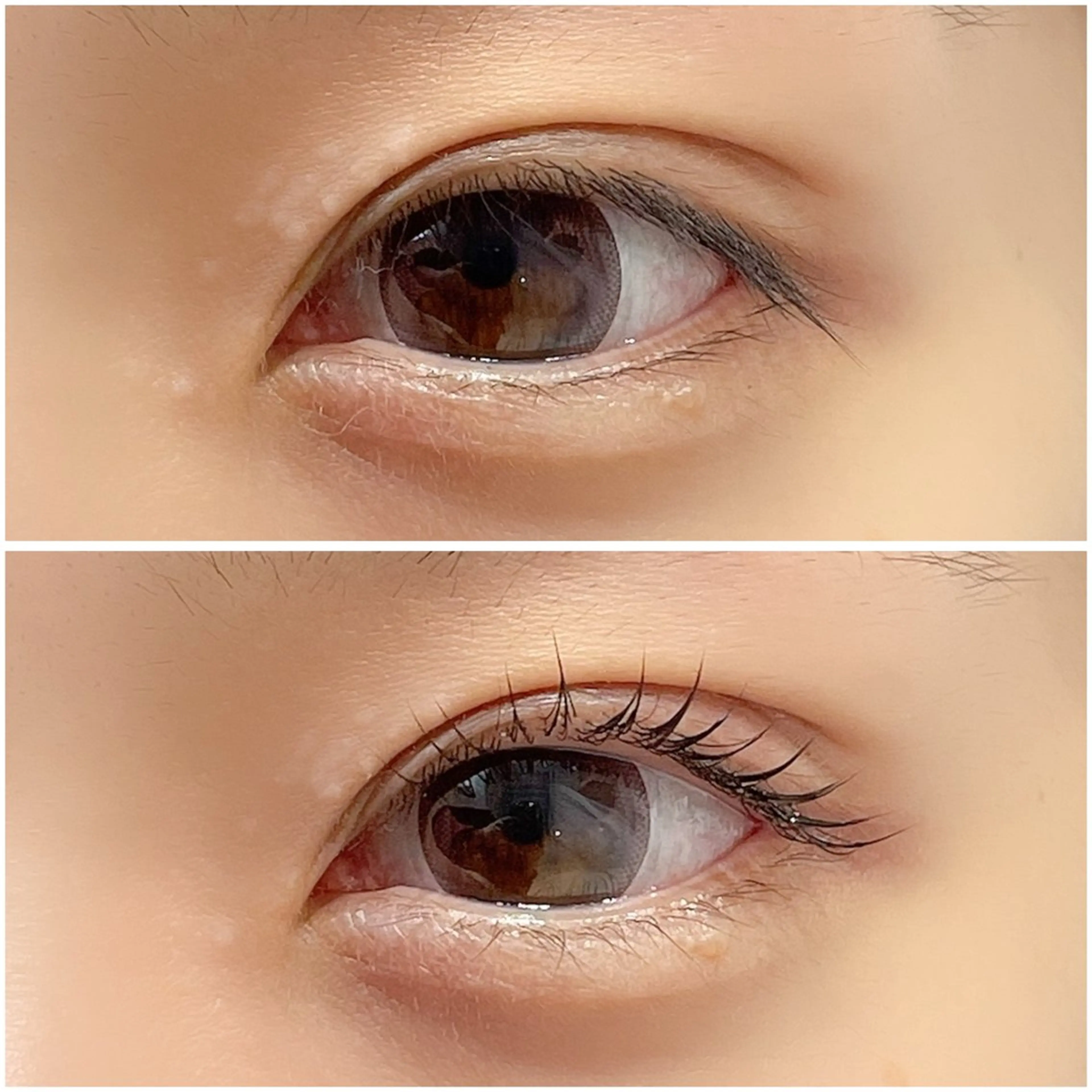 マツエク・マツパ まつげパーマ 一重×まつ毛パーマ マツパ 🤍Anna仙台店 田代 美咲‎🤍のマツエク・マツパデザイン