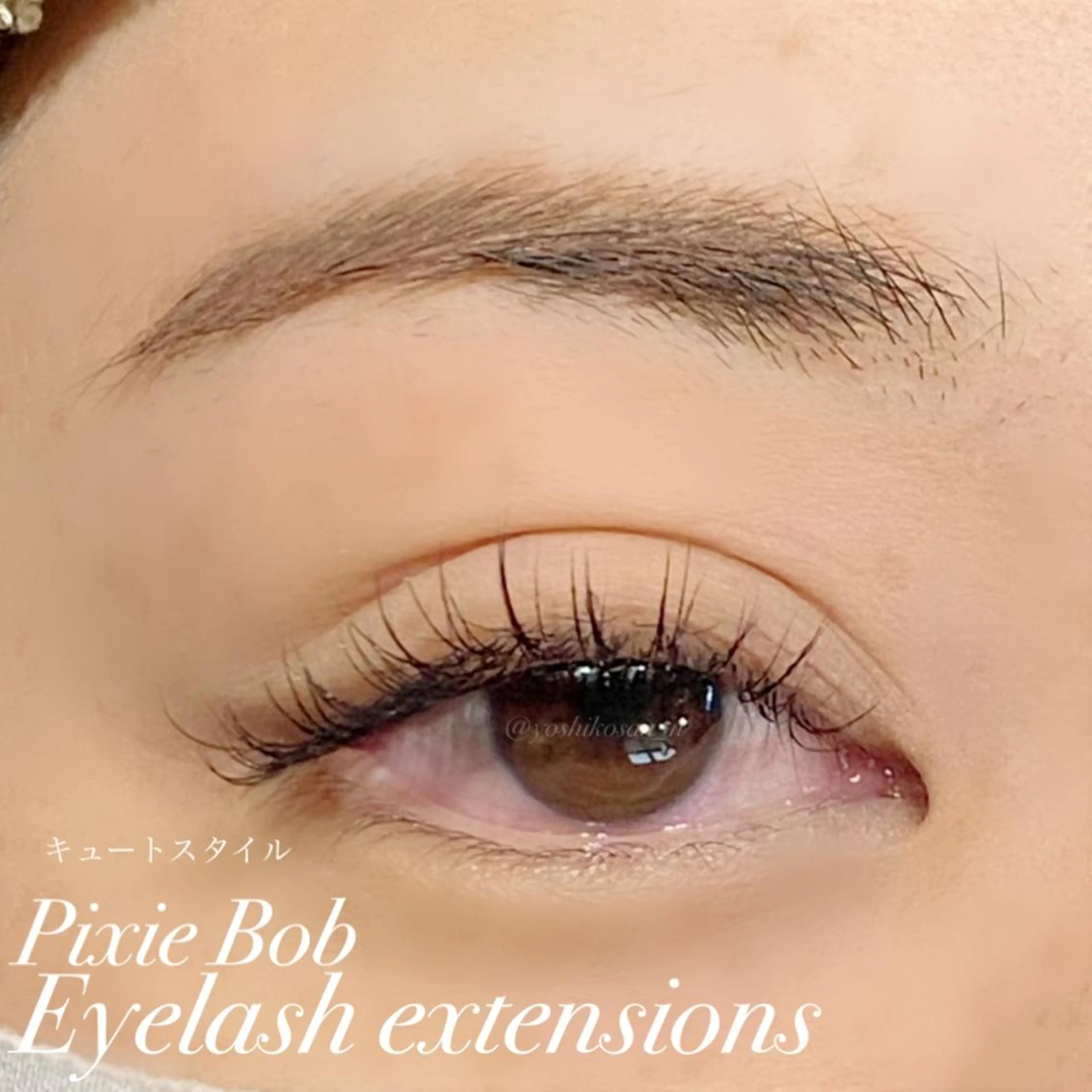 マツエク・マツパ キュート マツエク Pixie Bob 🐈‍⬛　位田のマツエク・マツパデザイン