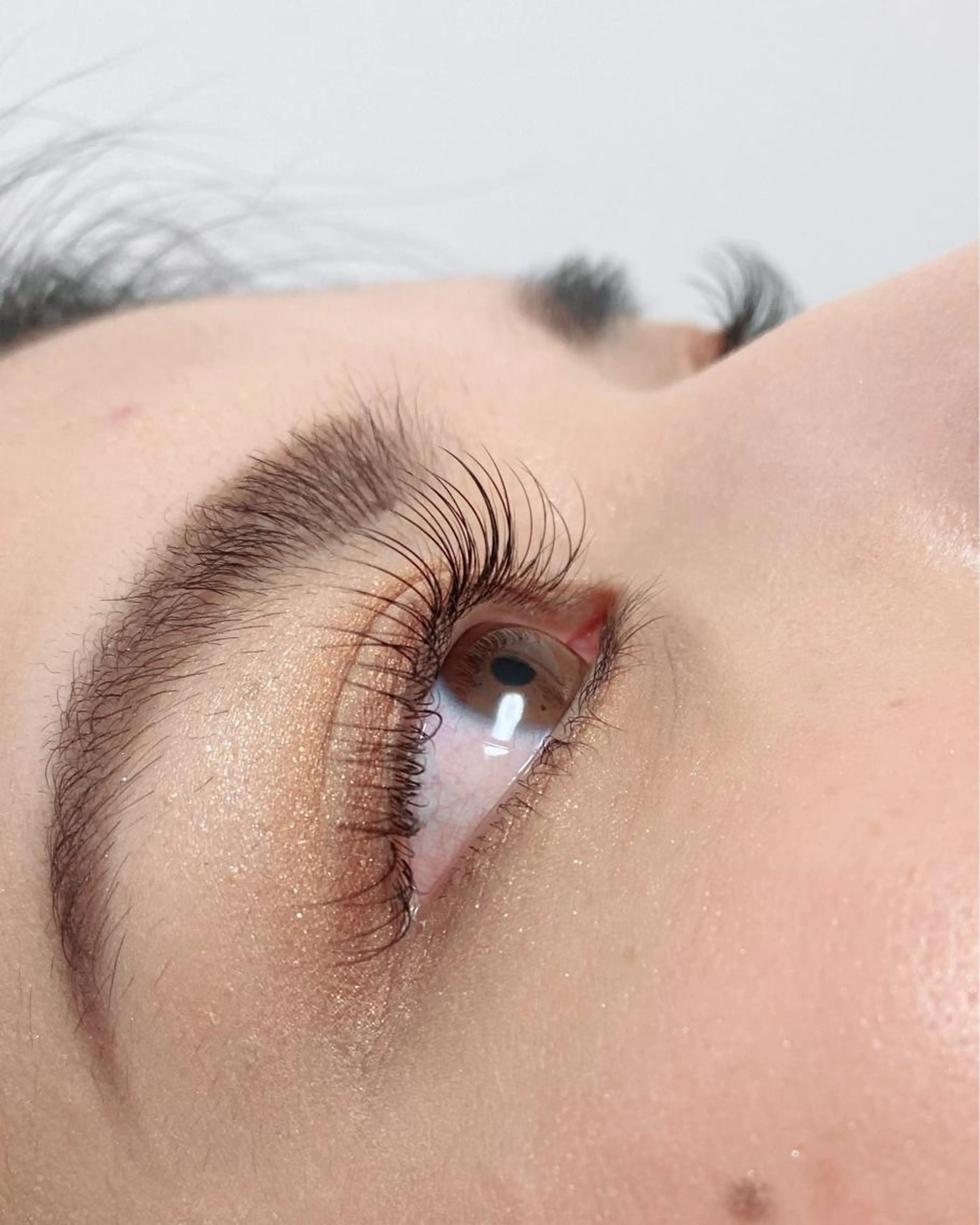 フラットラッシュ140本の写真