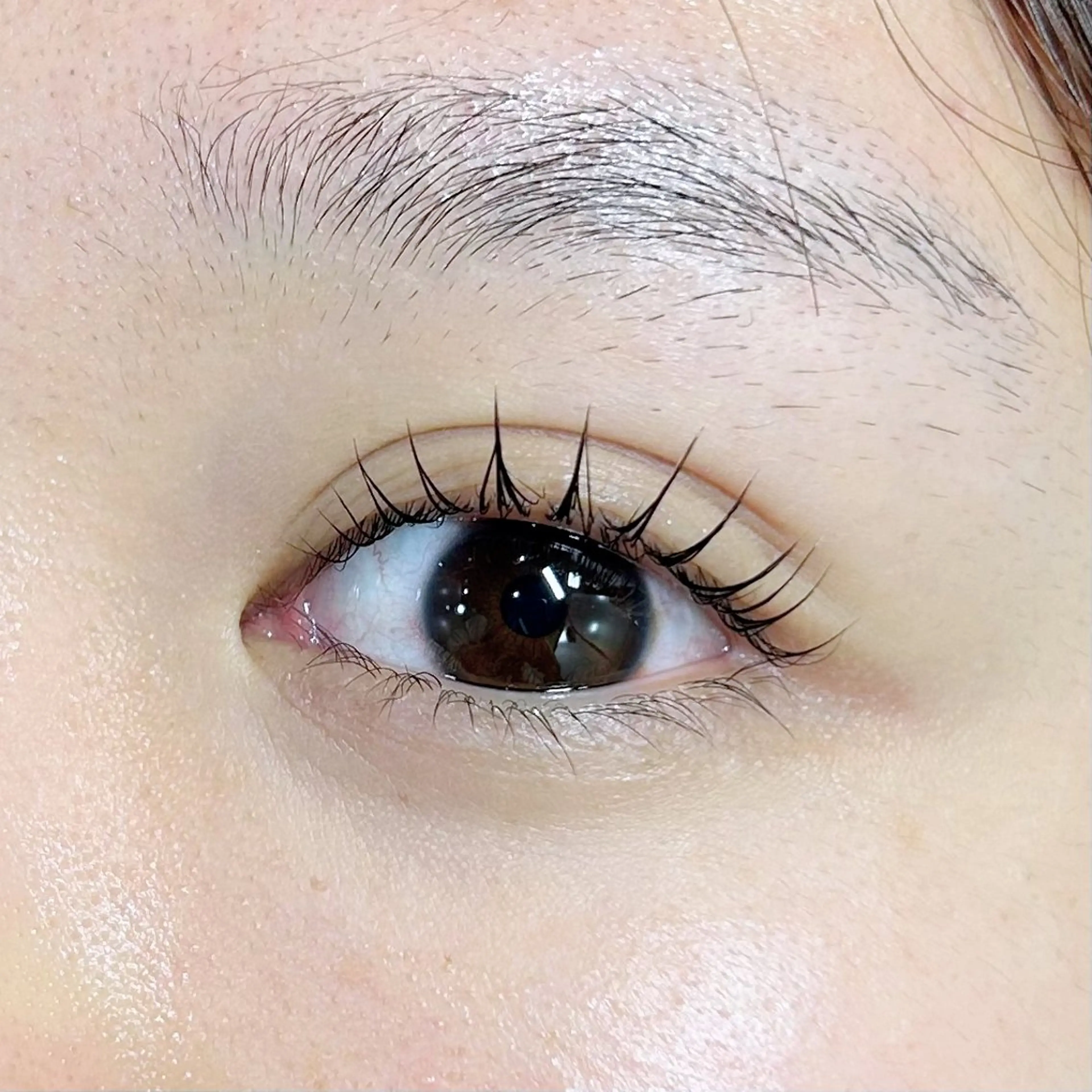 マツエク・マツパ マツパ Address 和澄のマツエク・マツパデザイン