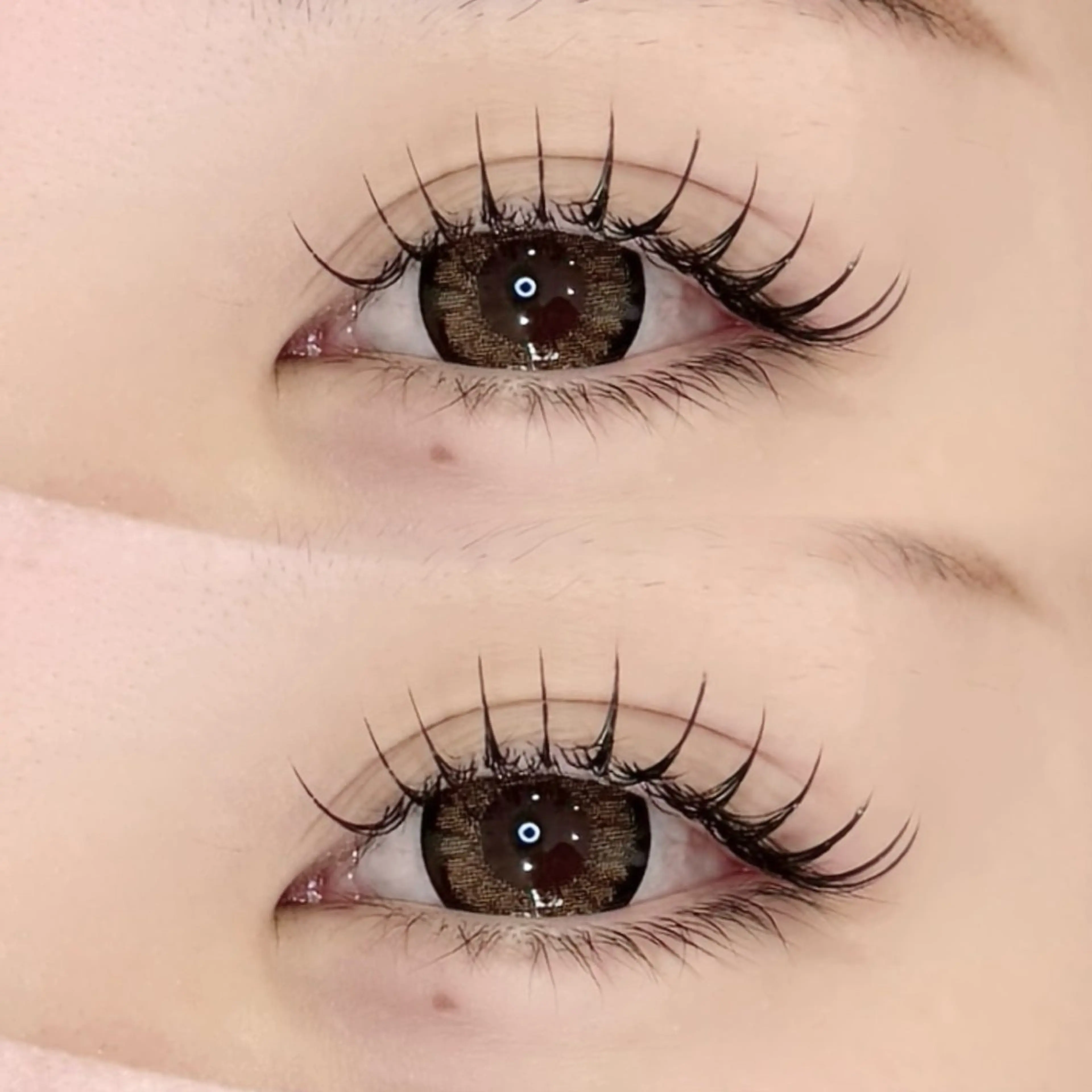 マツエク 100本  120本の場合(+300円) オフ込み   最終受付17:00の写真