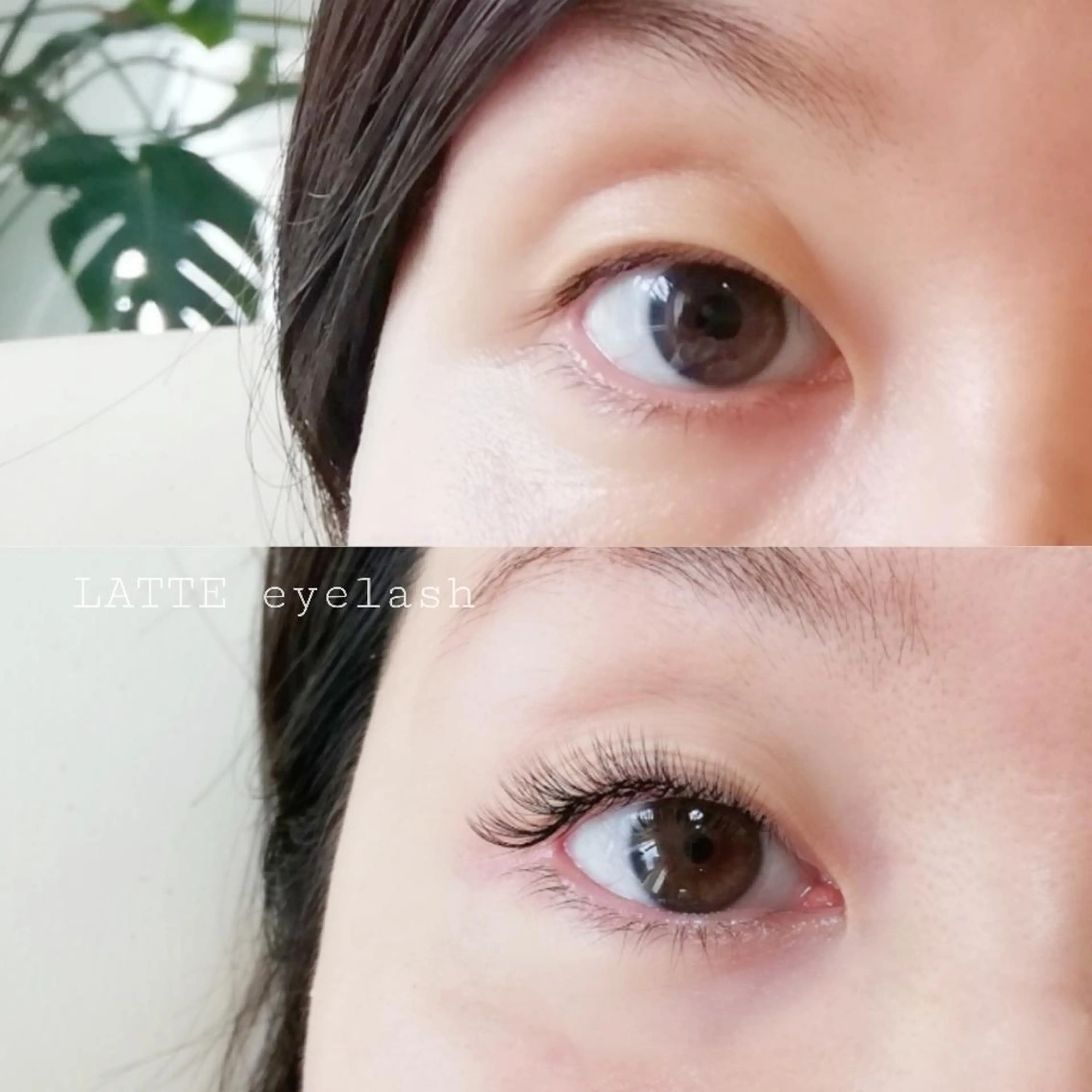 マツエク・マツパ LATTE eyelashのマツエク・マツパデザイン