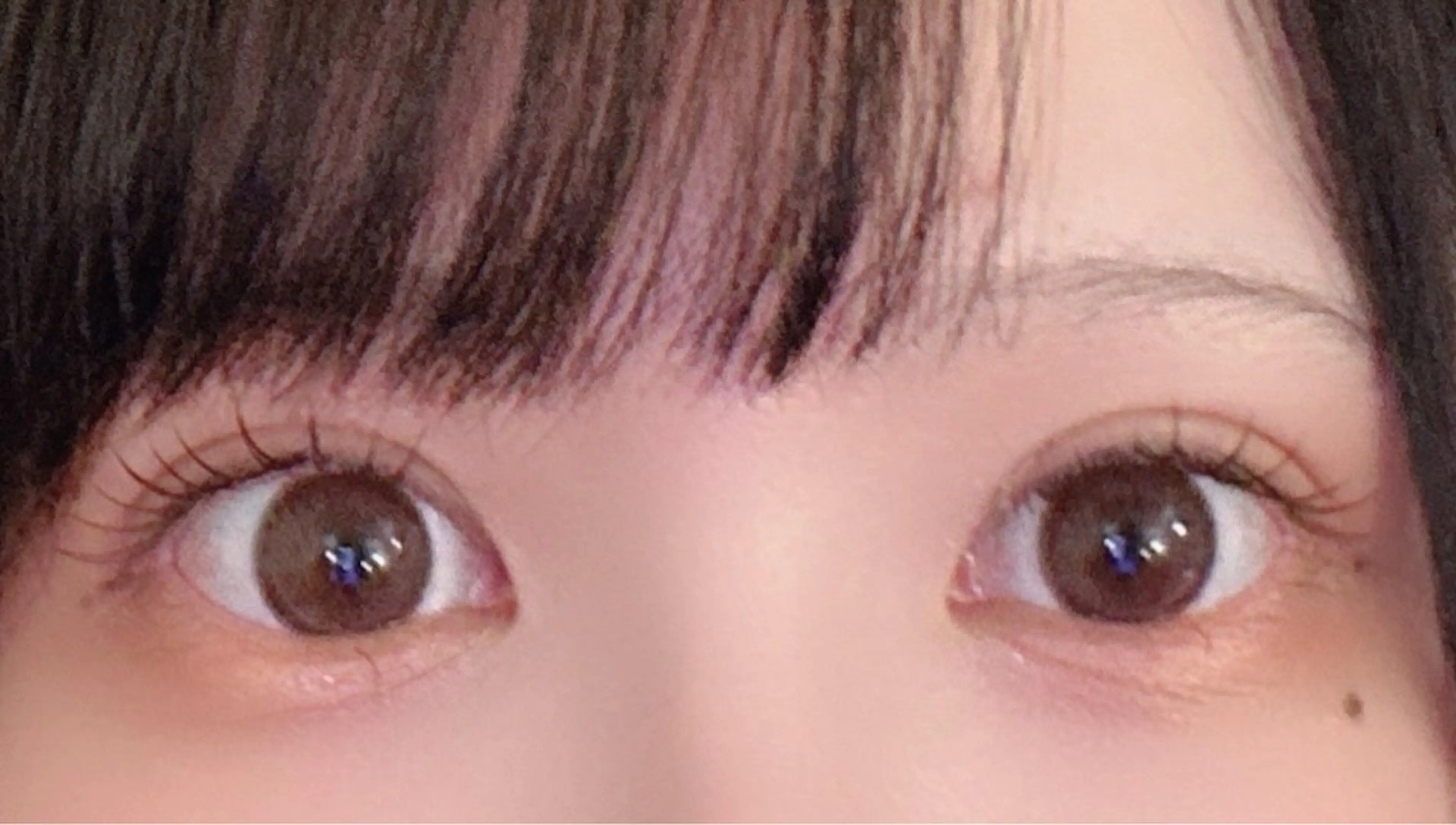 マツエク・マツパ フラットラッシュ マツエク kico.co salonのマツエク・マツパデザイン