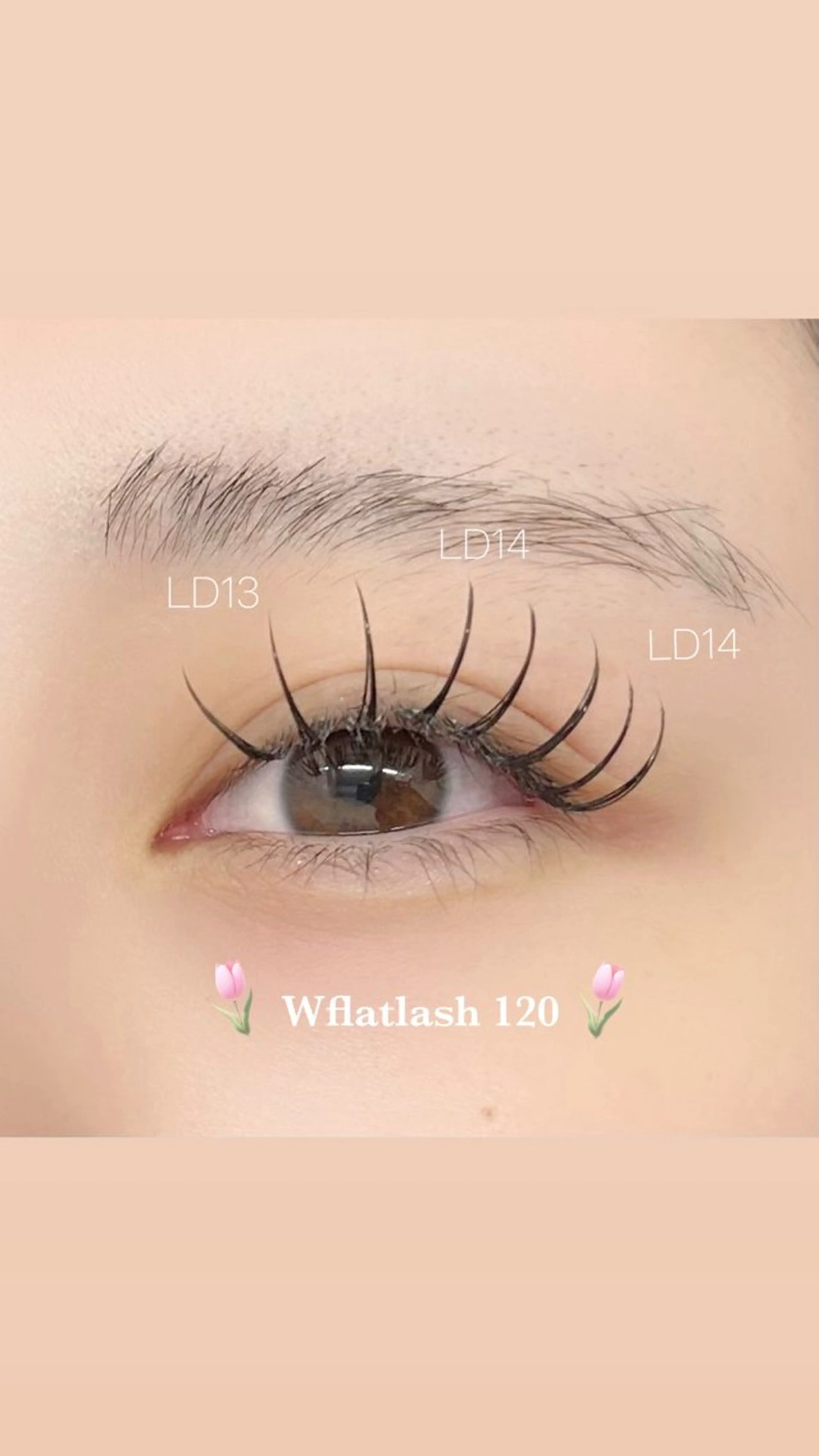 🎀大人気✨️【LDカールデザイン 120本】🍑🩷束感コーティング仕上げ🍒学割￥5700♡ 《土日祝➕300円》の写真