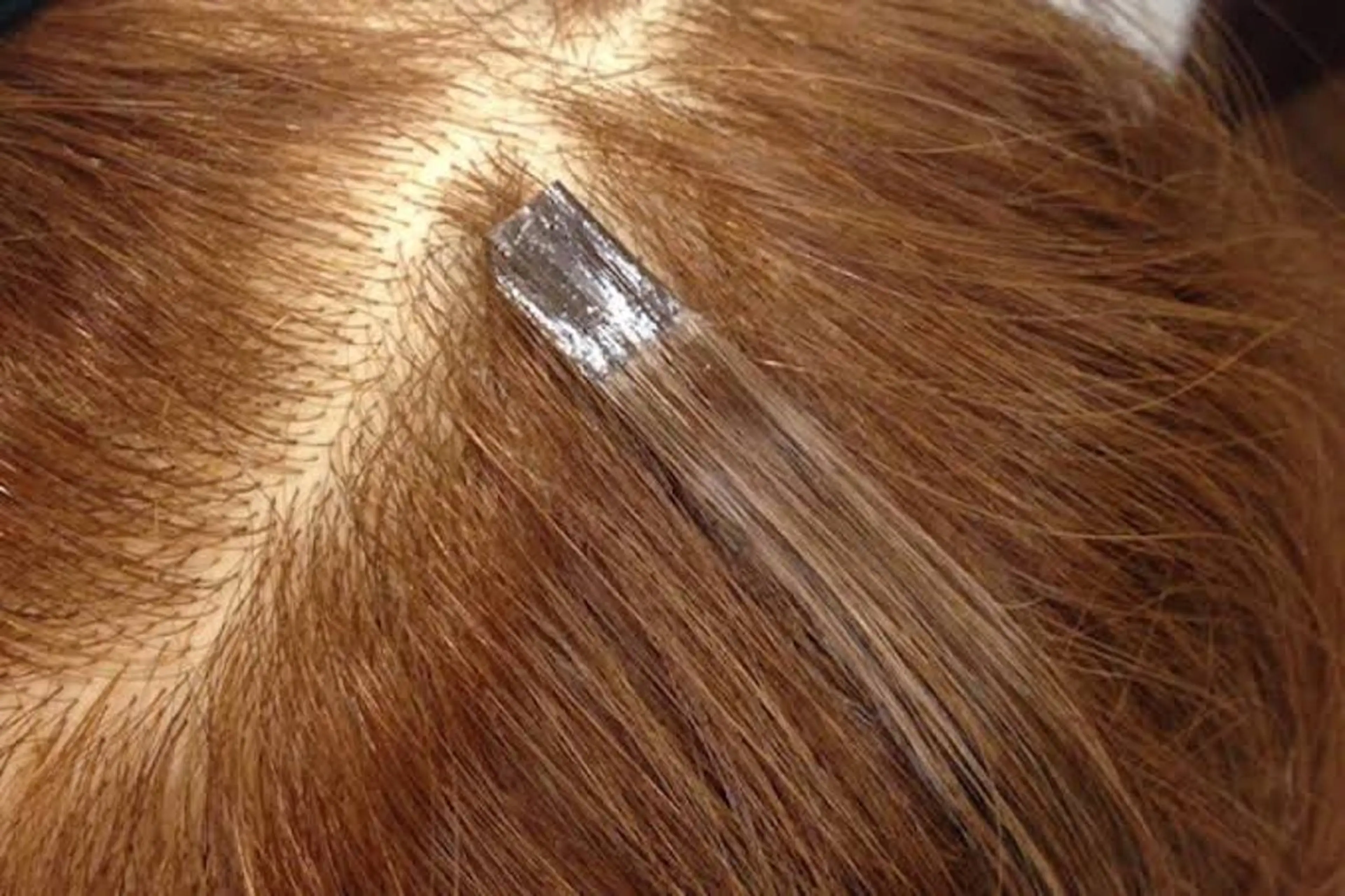 【他店エクステOFF】(何本でもOK🙆‍♀️)今付いてるエクステを外したい方、丁寧にOFFいたします🌟の写真