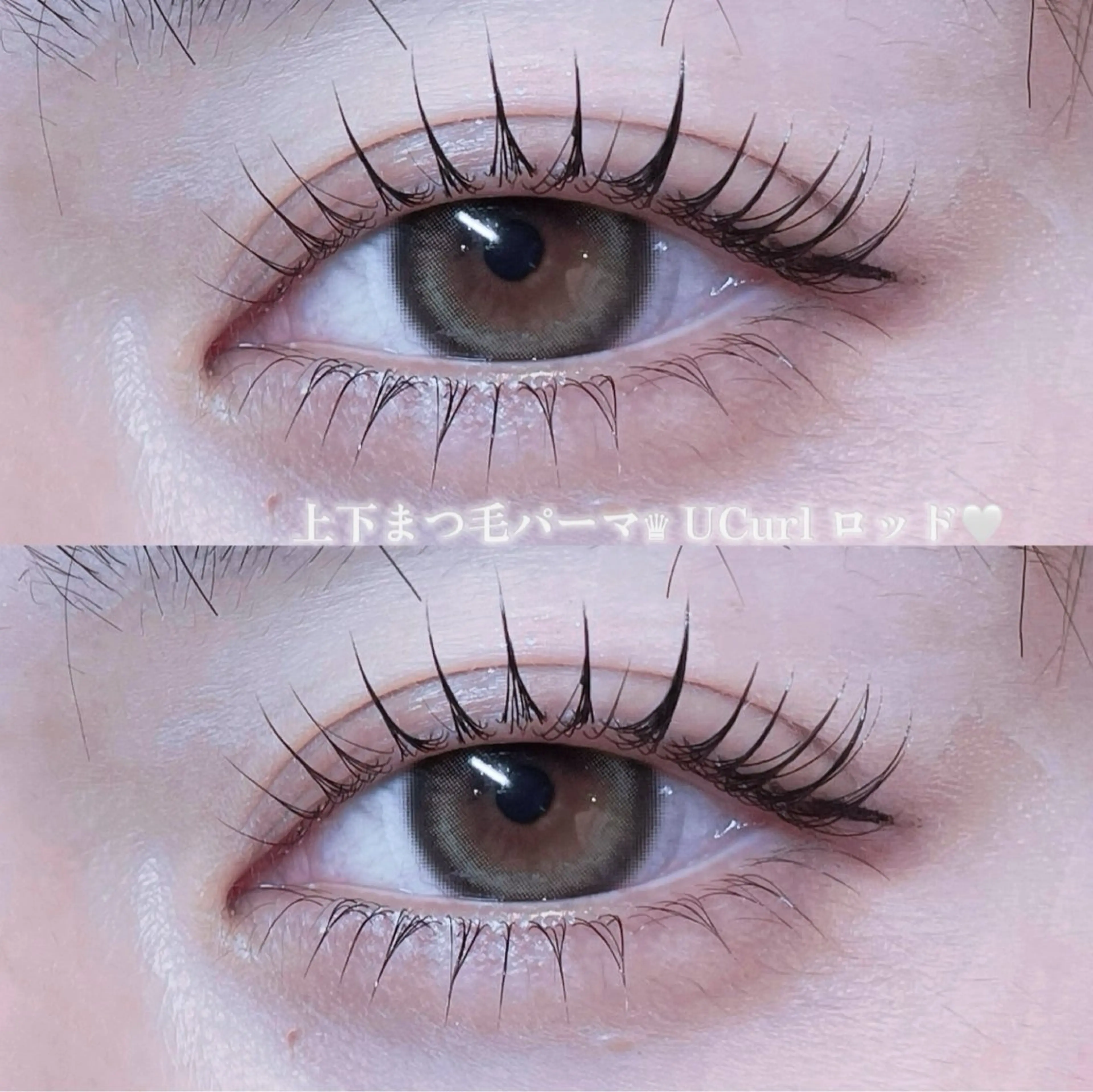 セットで🉐🧸《上下》パリジェンヌorラッシュリフト✨️高濃度ケラチンtr付き🩰の写真