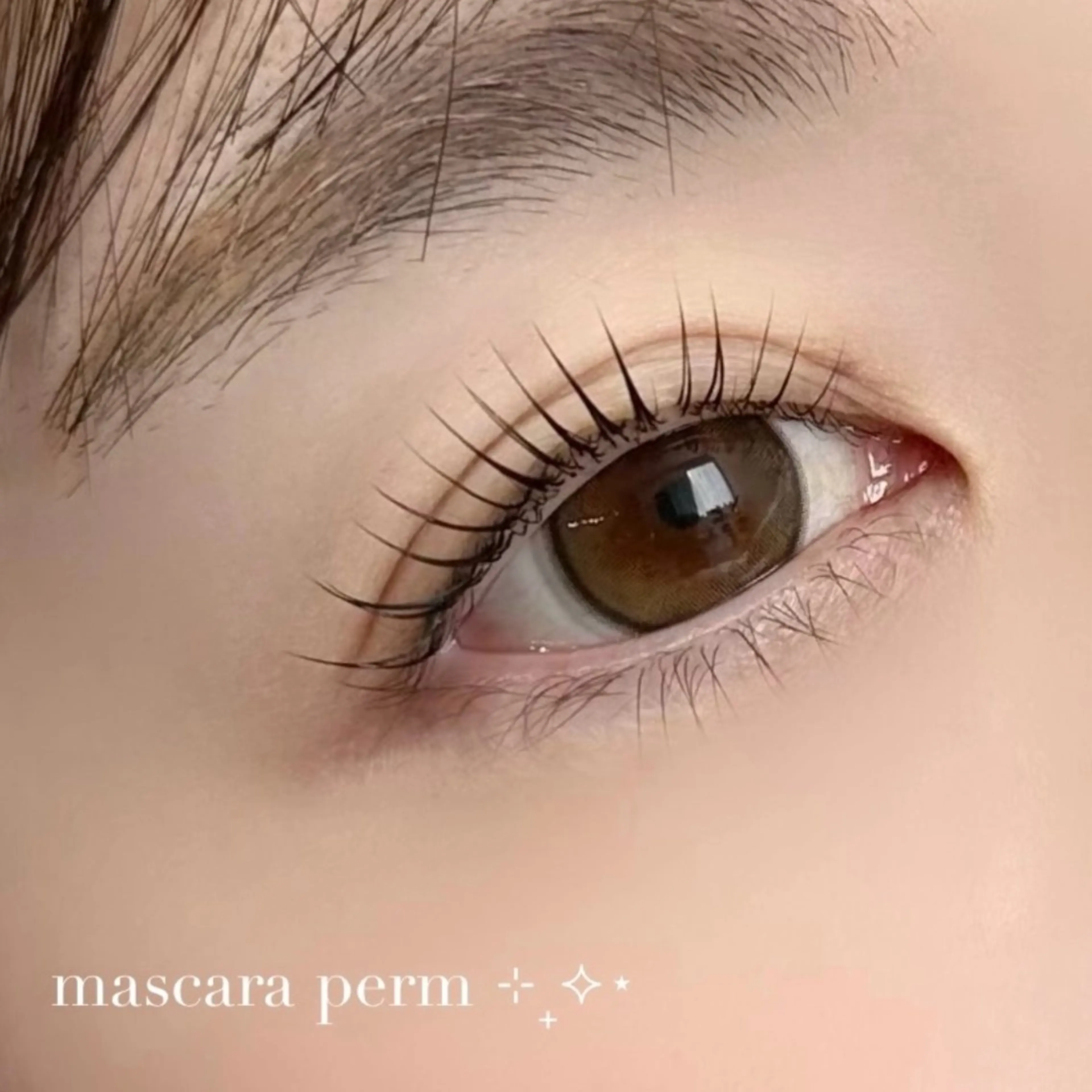 マツエク・マツパ 束感まつ毛 まつげパーマ 一重×まつ毛パーマ マツパ 《nowa》 mai まつげ/眉毛のマツエク・マツパデザイン
