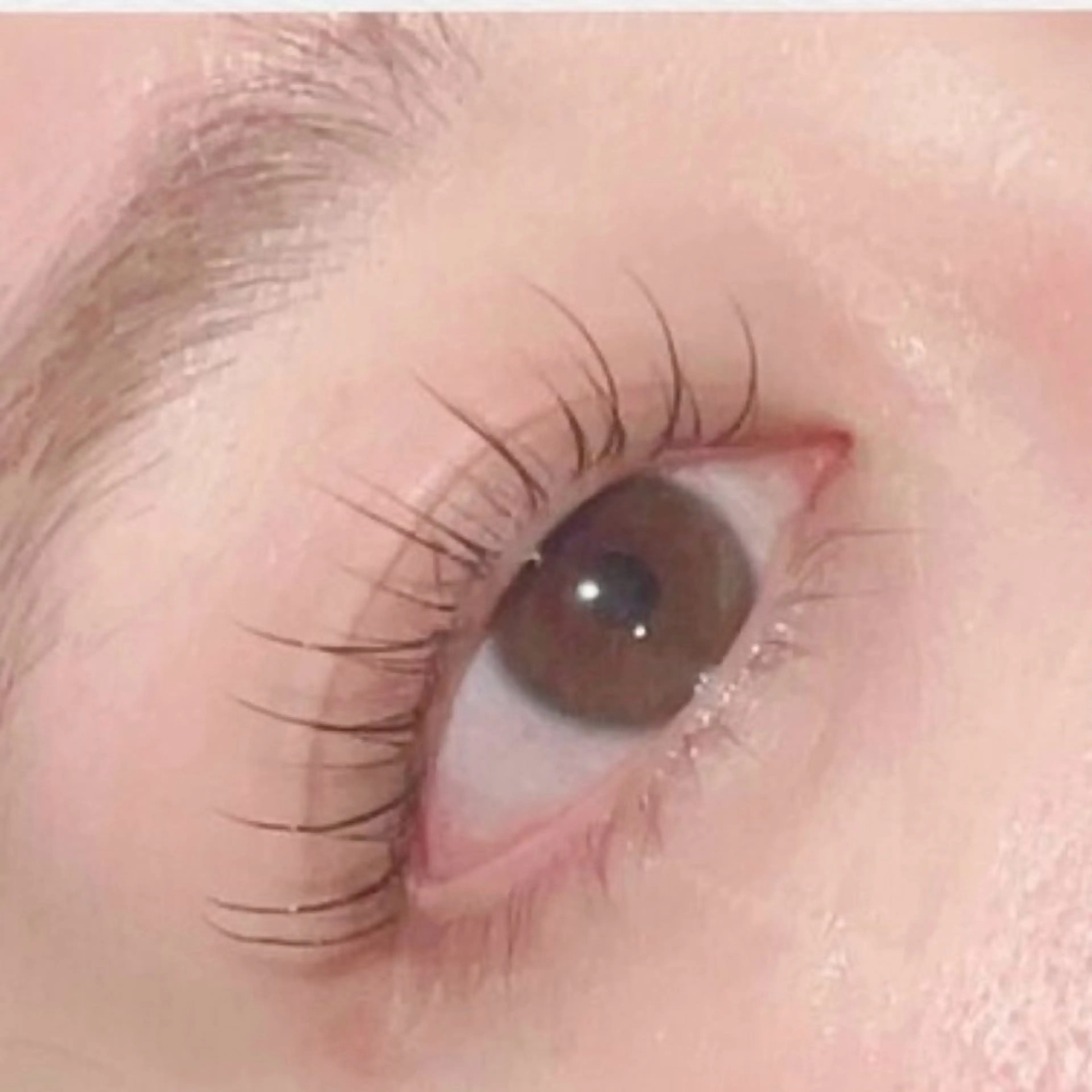 エクパーマ(まつげパーマ＋エクステ両目20~40本)💖(アンドヘルシー)一日お一人様限定‼️の写真