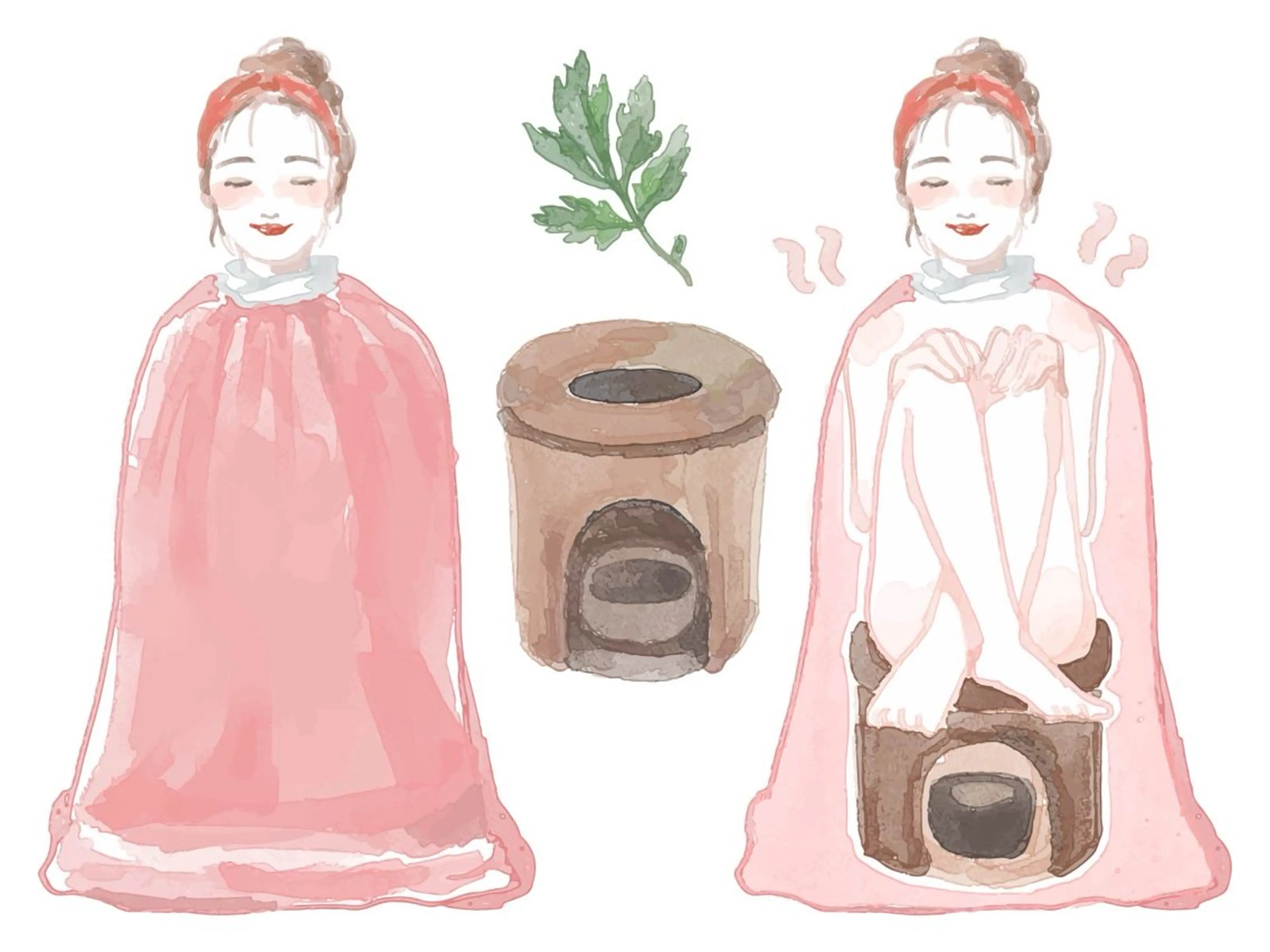 初回限定よもぎ蒸しの写真