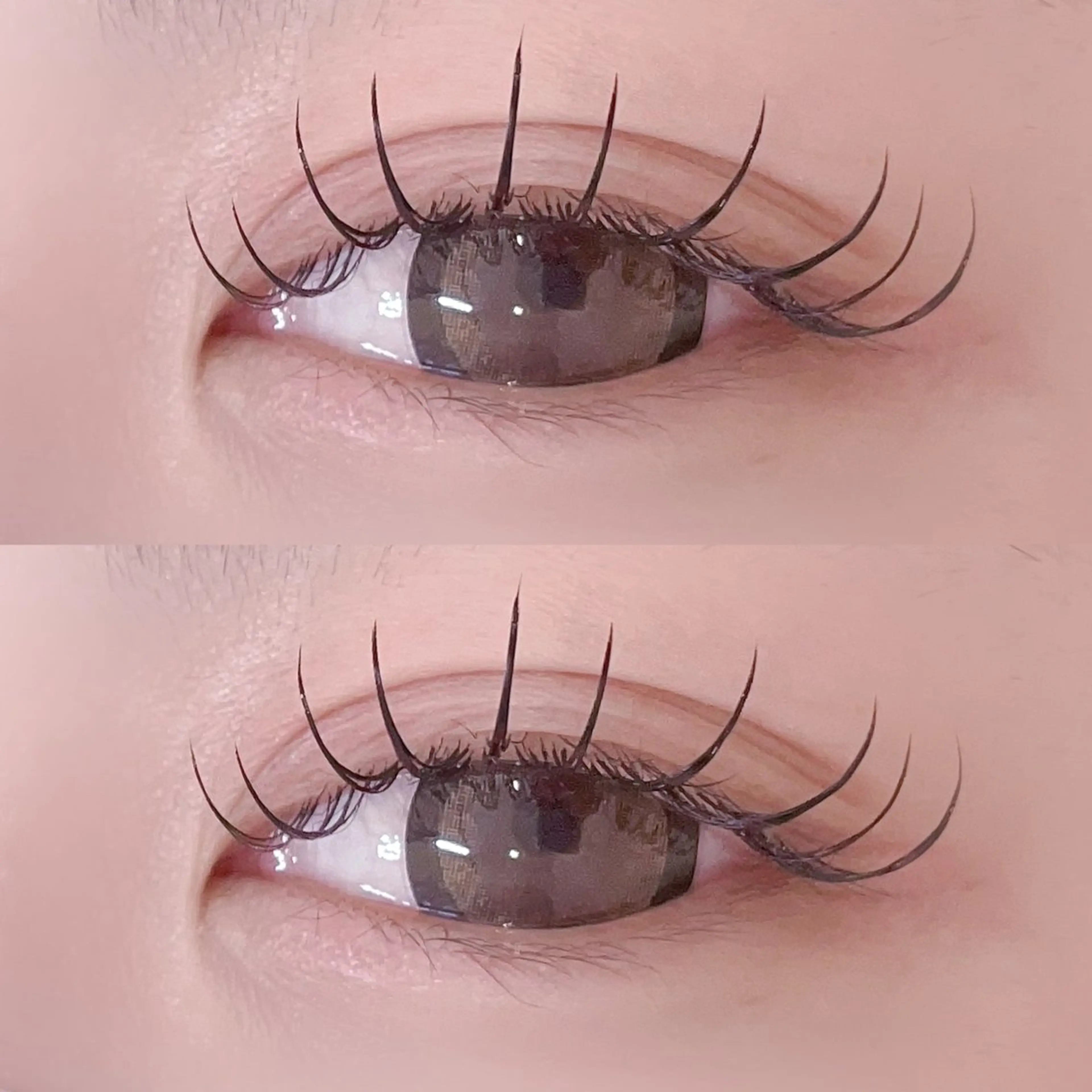 マツエク・マツパ フラットラッシュ マツエク 🦋束感/LEDエク Hibiki🦋のマツエク・マツパデザイン