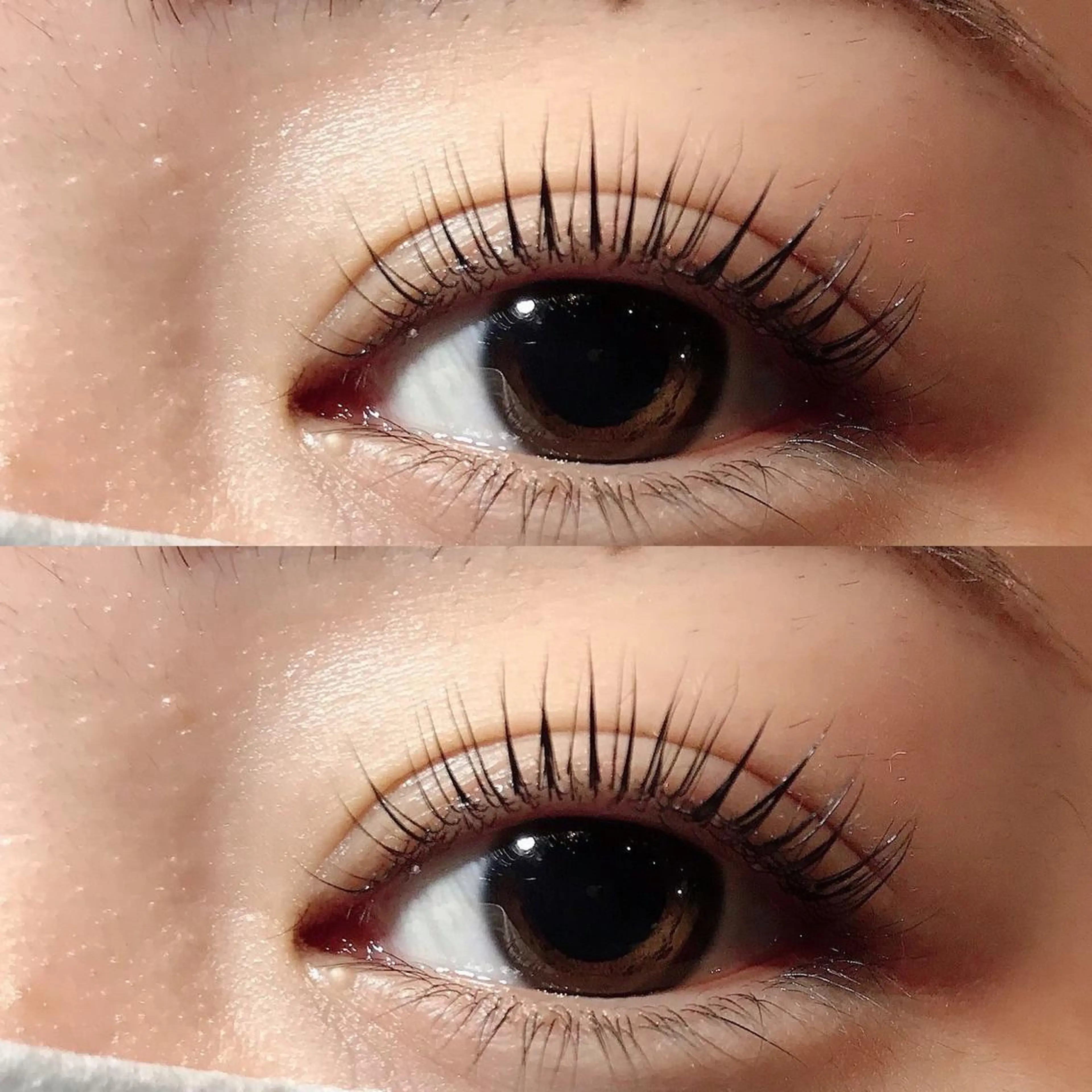 マツエク・マツパ マツパ SIRO🦋/心斎橋 四ツ橋/尾立桜子のマツエク・マツパデザイン