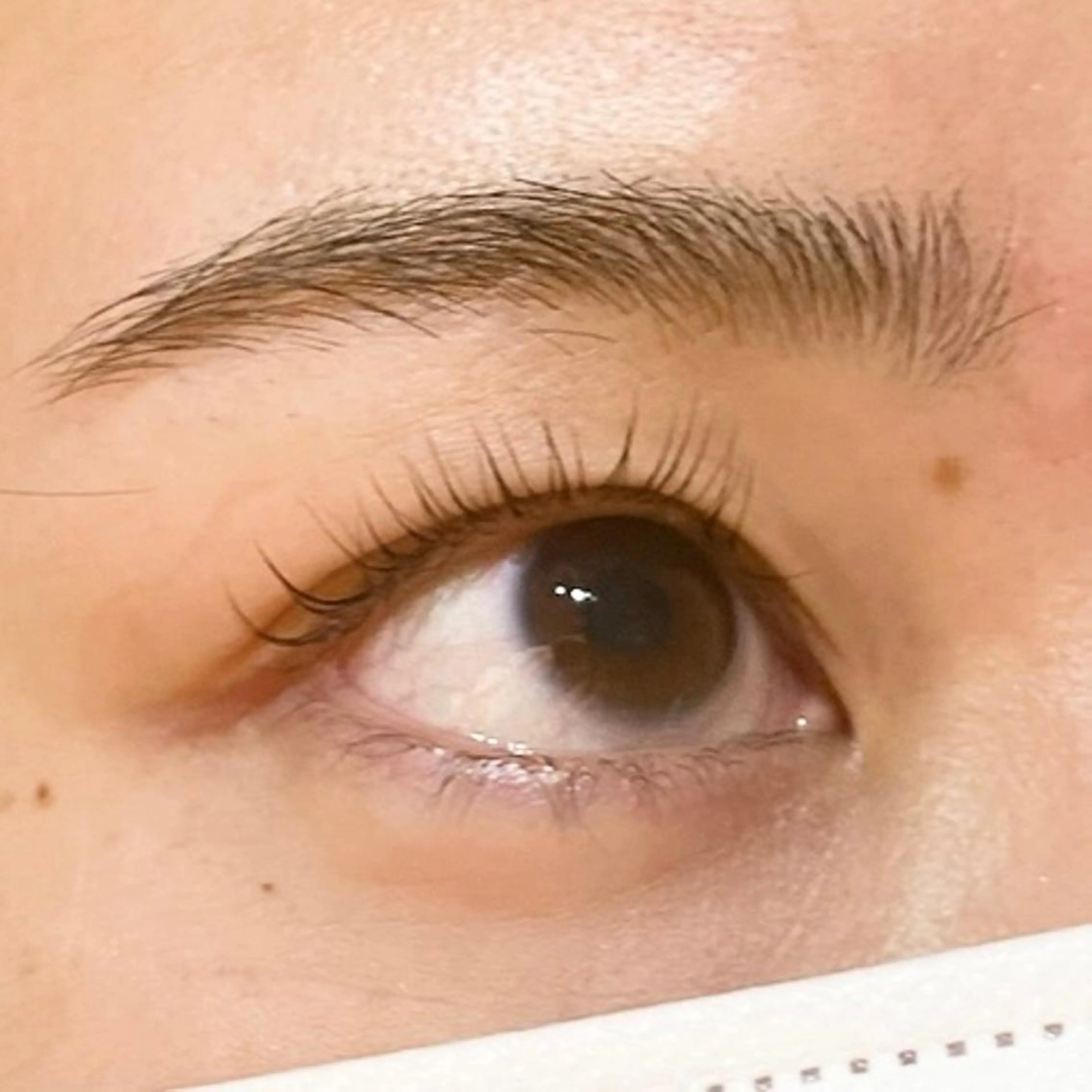 マツエク・マツパ 韓国風マツエク パリジェンヌラッシュリフト 一重×まつ毛パーマ 𝙎𝙚𝙞𝙧𝙖 ☆カット/パーマのヘアスタイル