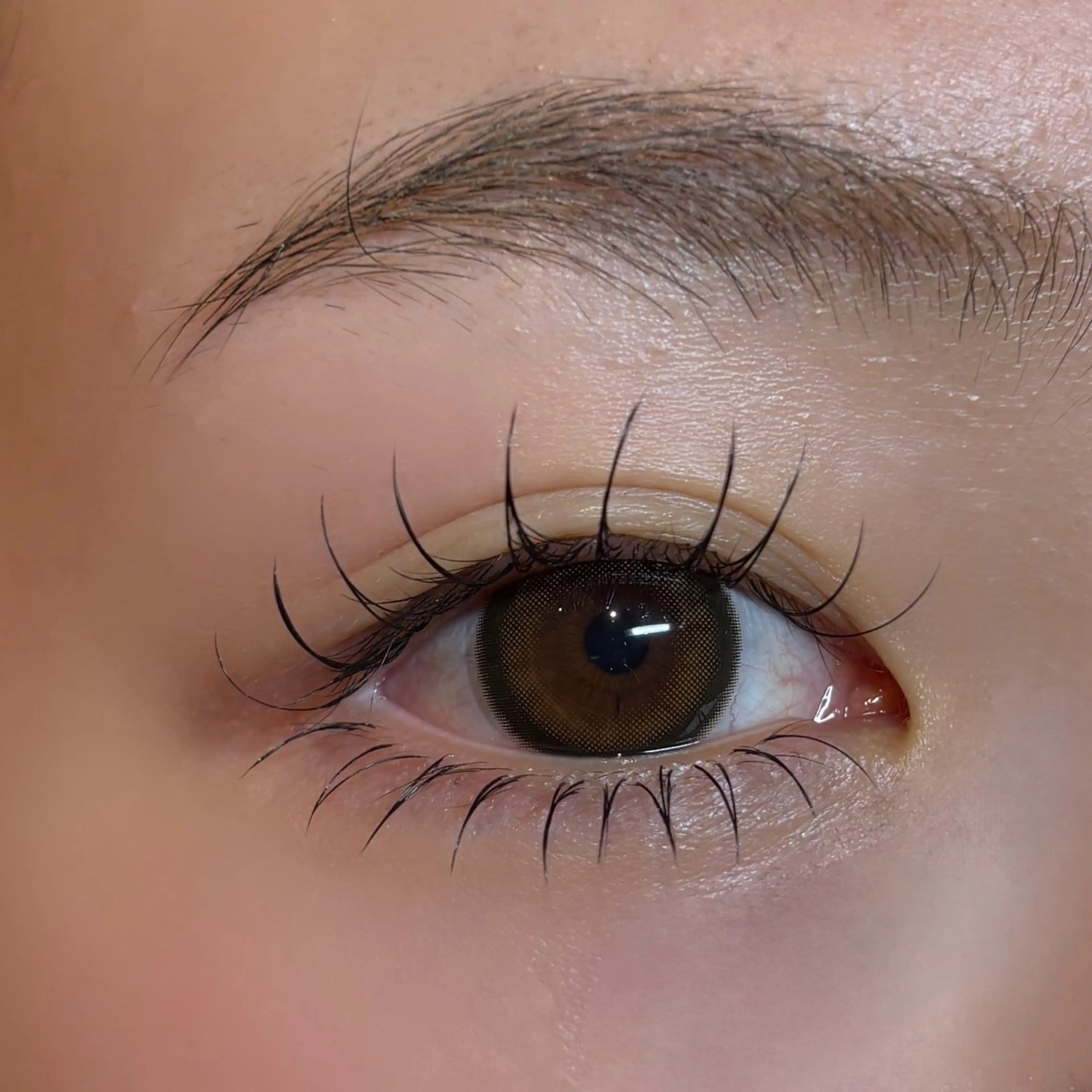 🫧下まつげエクステ付け放題（40本まで）🫧うるっと可愛い目元に👀下まつげをプラスするだけで中顔面短縮＆デカ目効果✨の写真