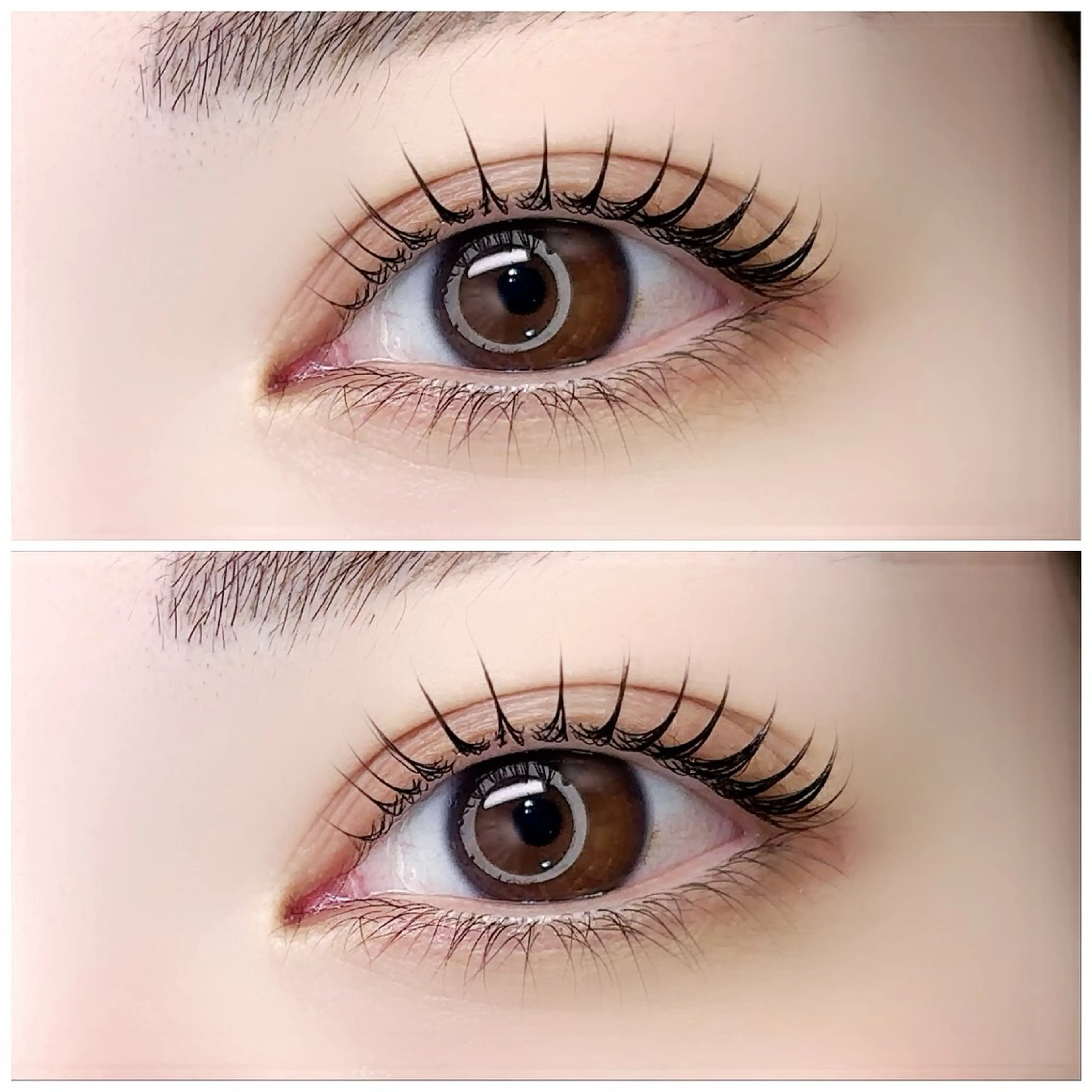 マツエク・マツパ 束感まつ毛 韓国風マツエク 一重×まつ毛パーマ EYE LABO / まつげパーマのマツエク・マツパデザイン