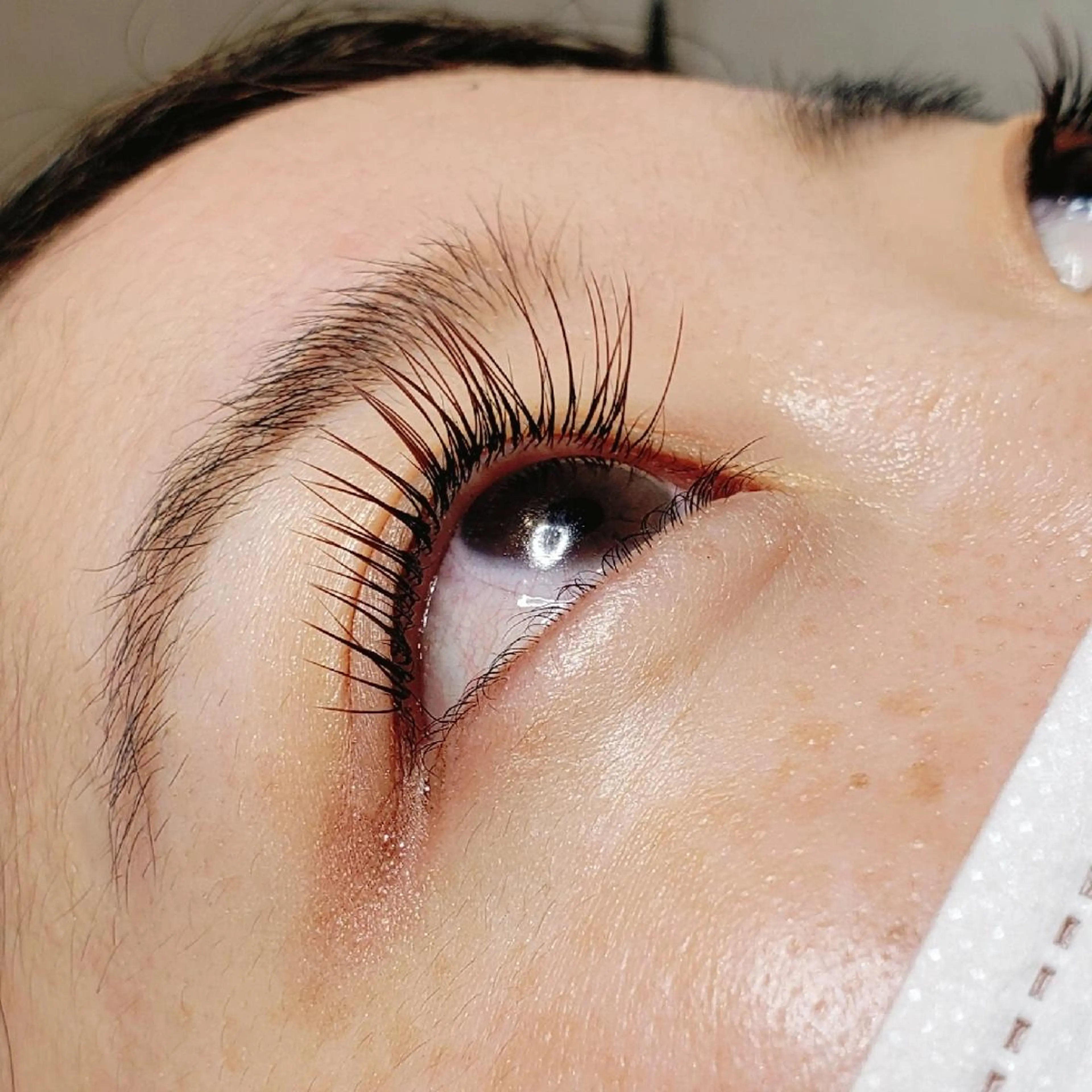 マツエク・マツパ カラーマツエク フラットラッシュ 🌱marry 吉祥寺🌱のマツエク・マツパデザイン