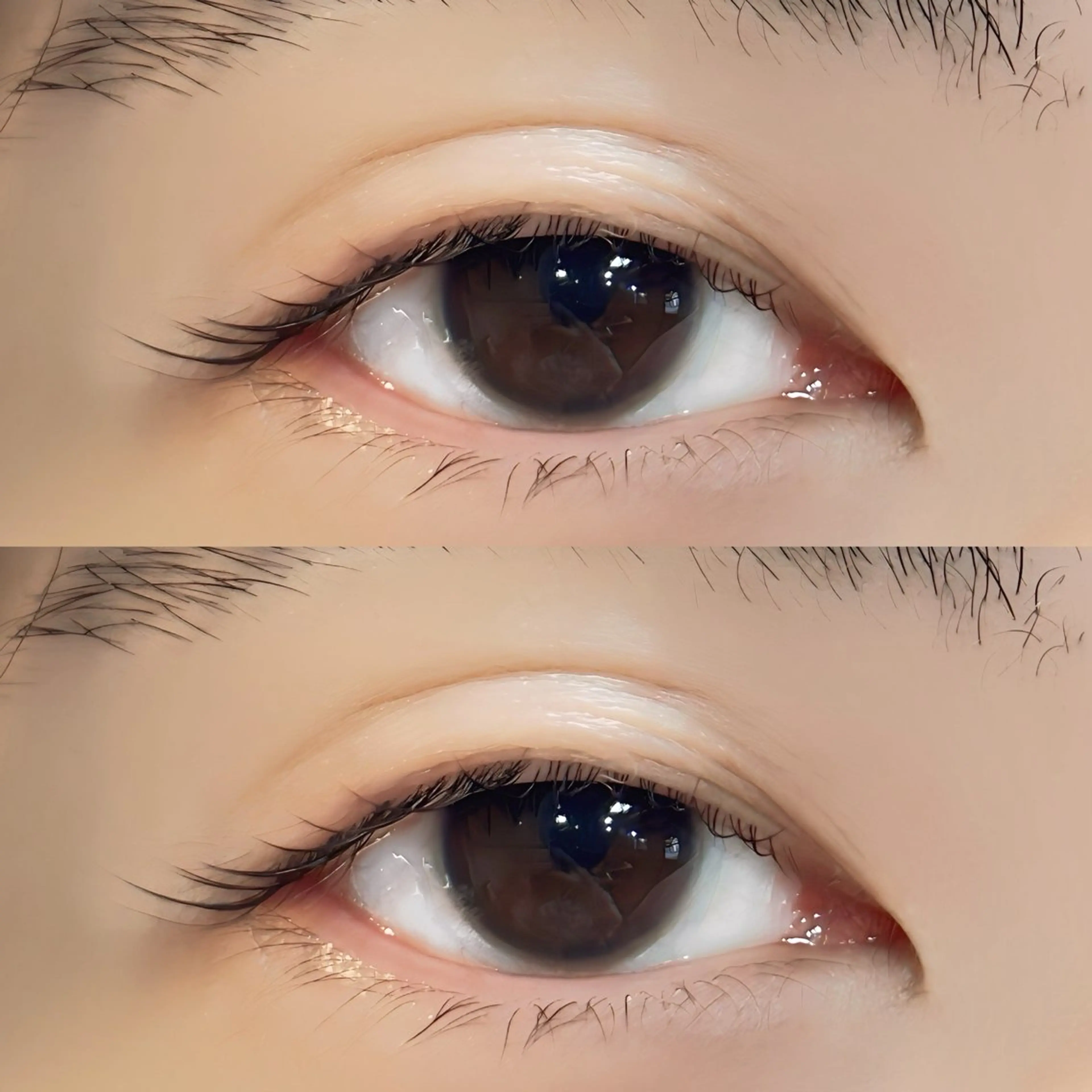 マツエク・マツパ ナチュラル 下まつげエクステ カズキ🪵 OPTIONのマツエク・マツパデザイン