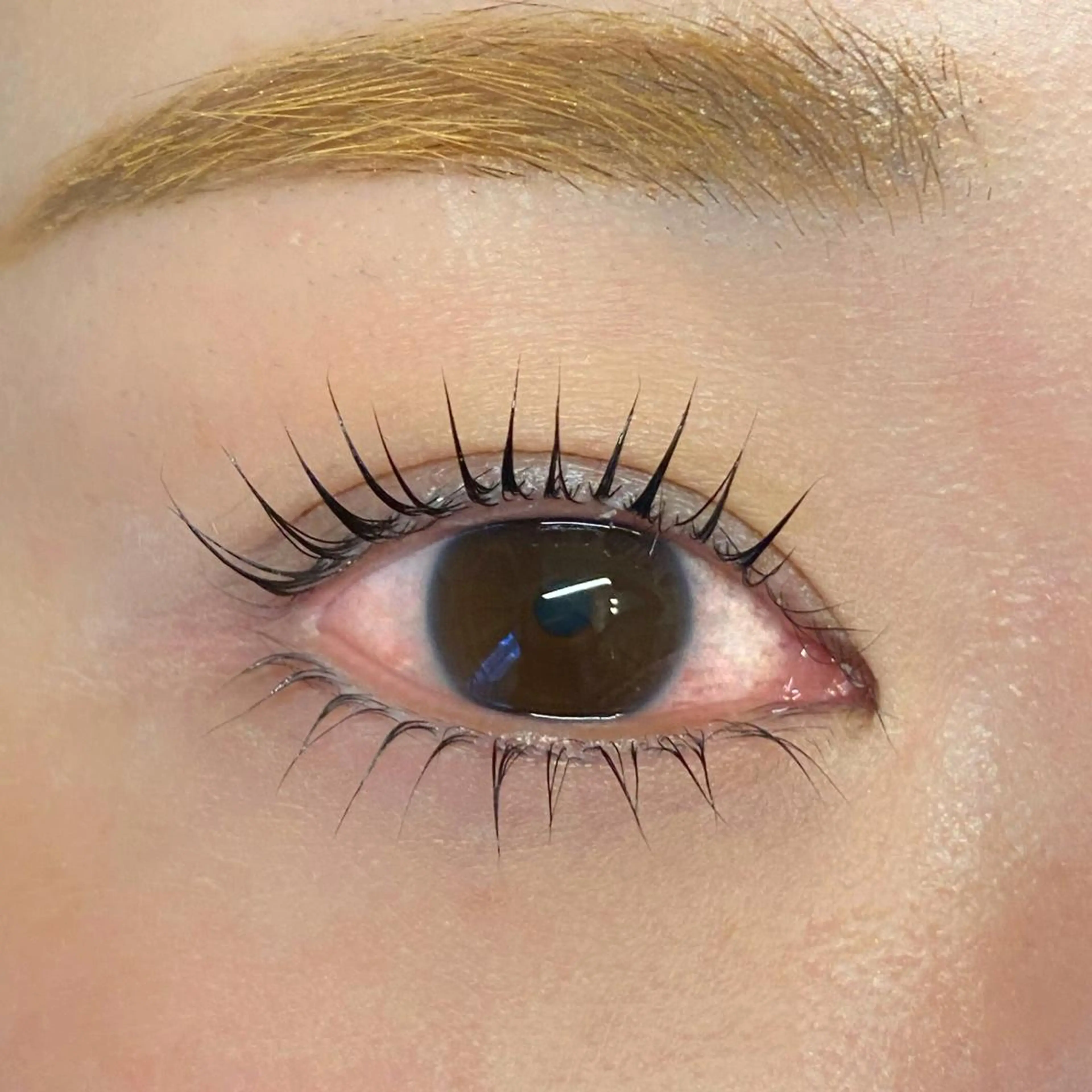 🥜《下のみ》まつげパーマ♥️の写真