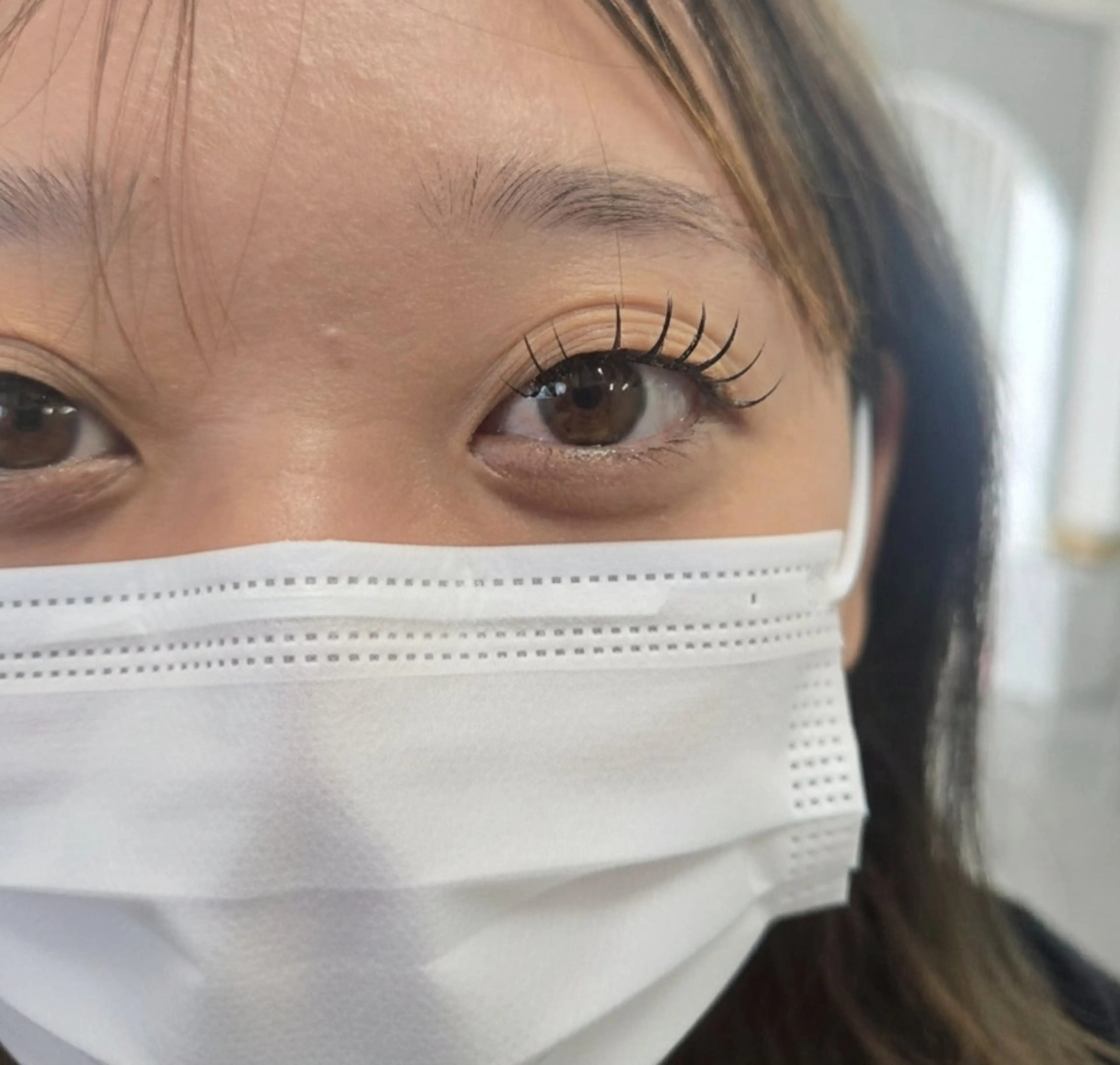 マツエク・マツパ 束感まつ毛 韓国風マツエク マツエク フジ ワラの眉毛・アイブロウイメージ