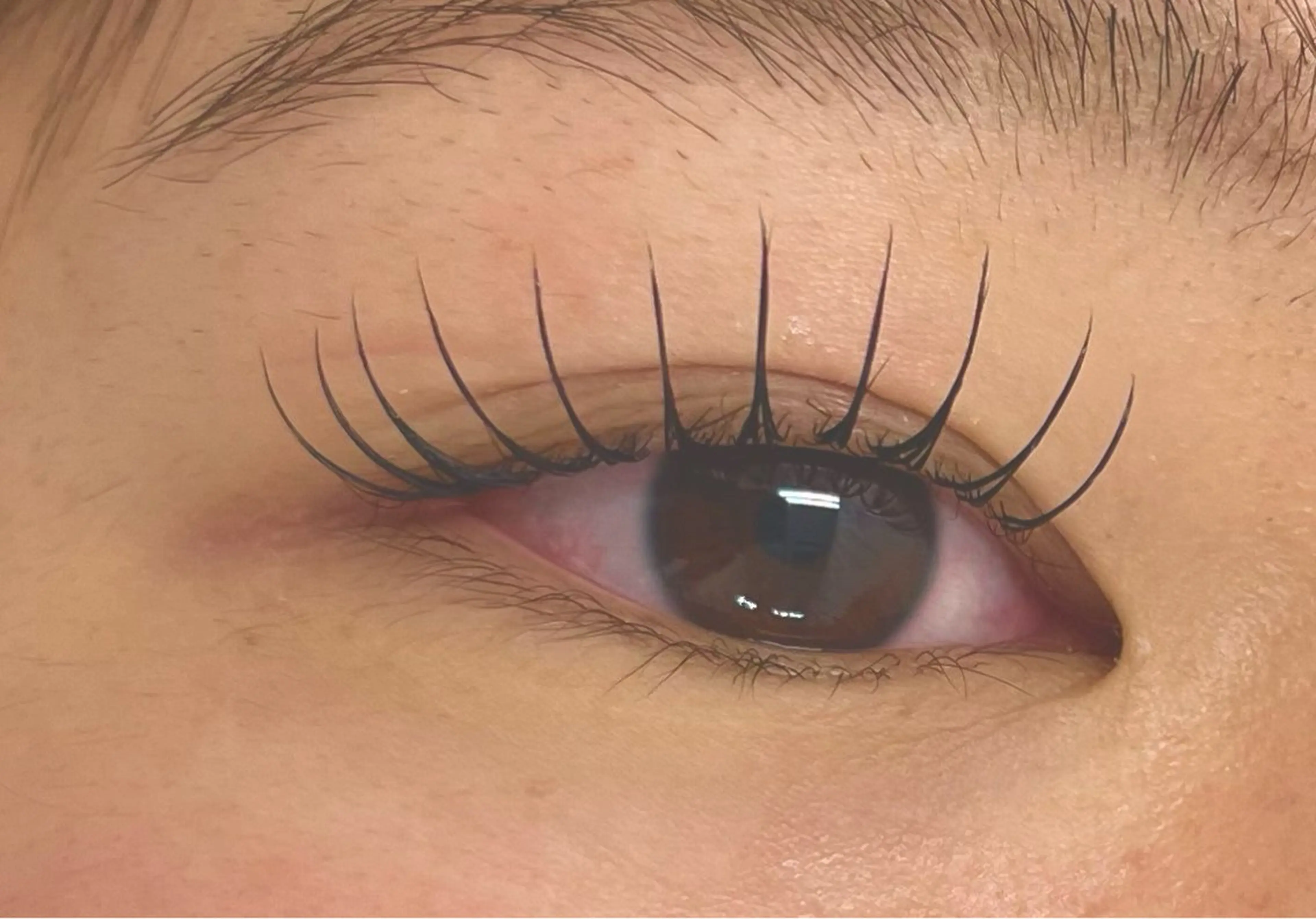 フラットラッシュ100本₊パーマ🌼の写真