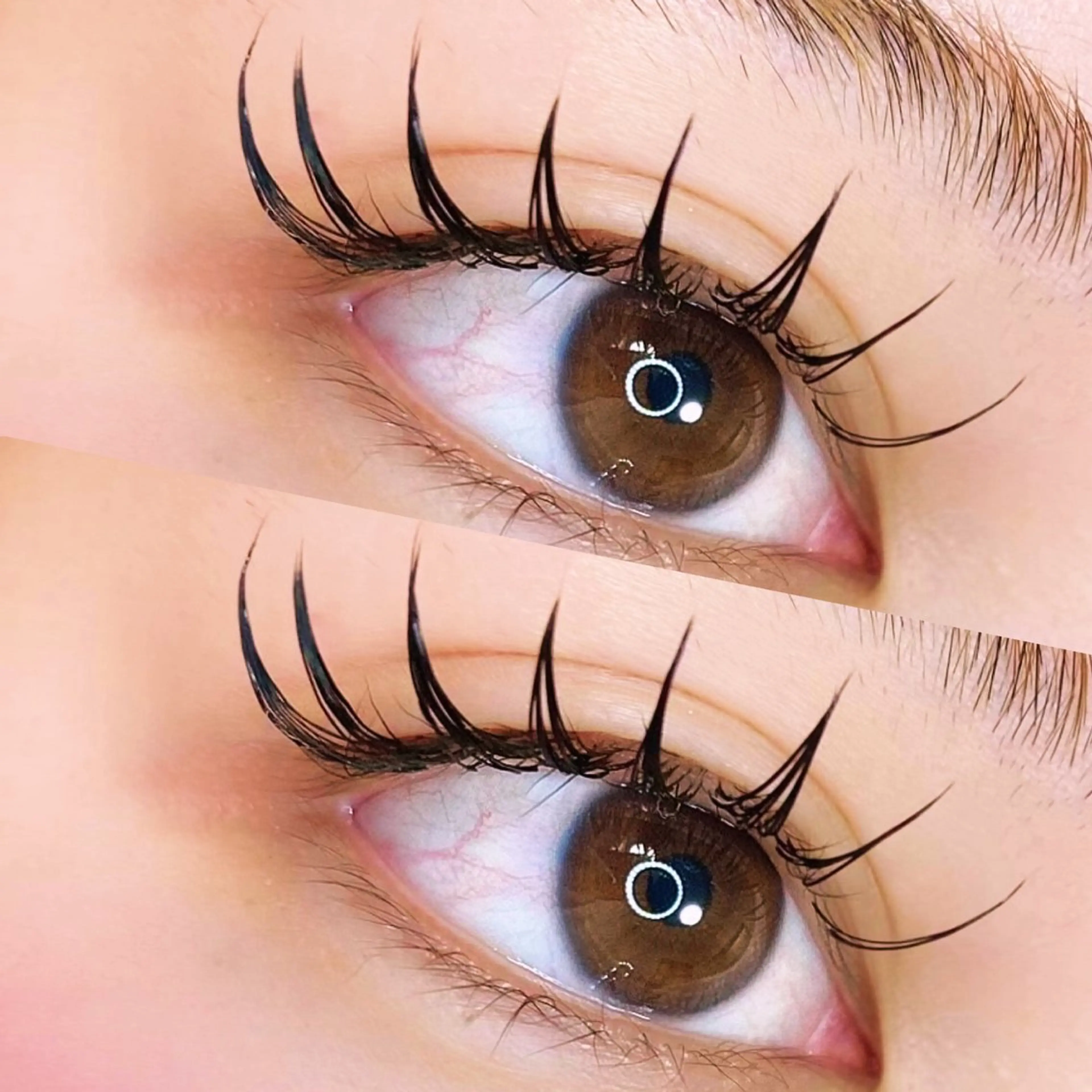 フラットラッシュ140本の写真