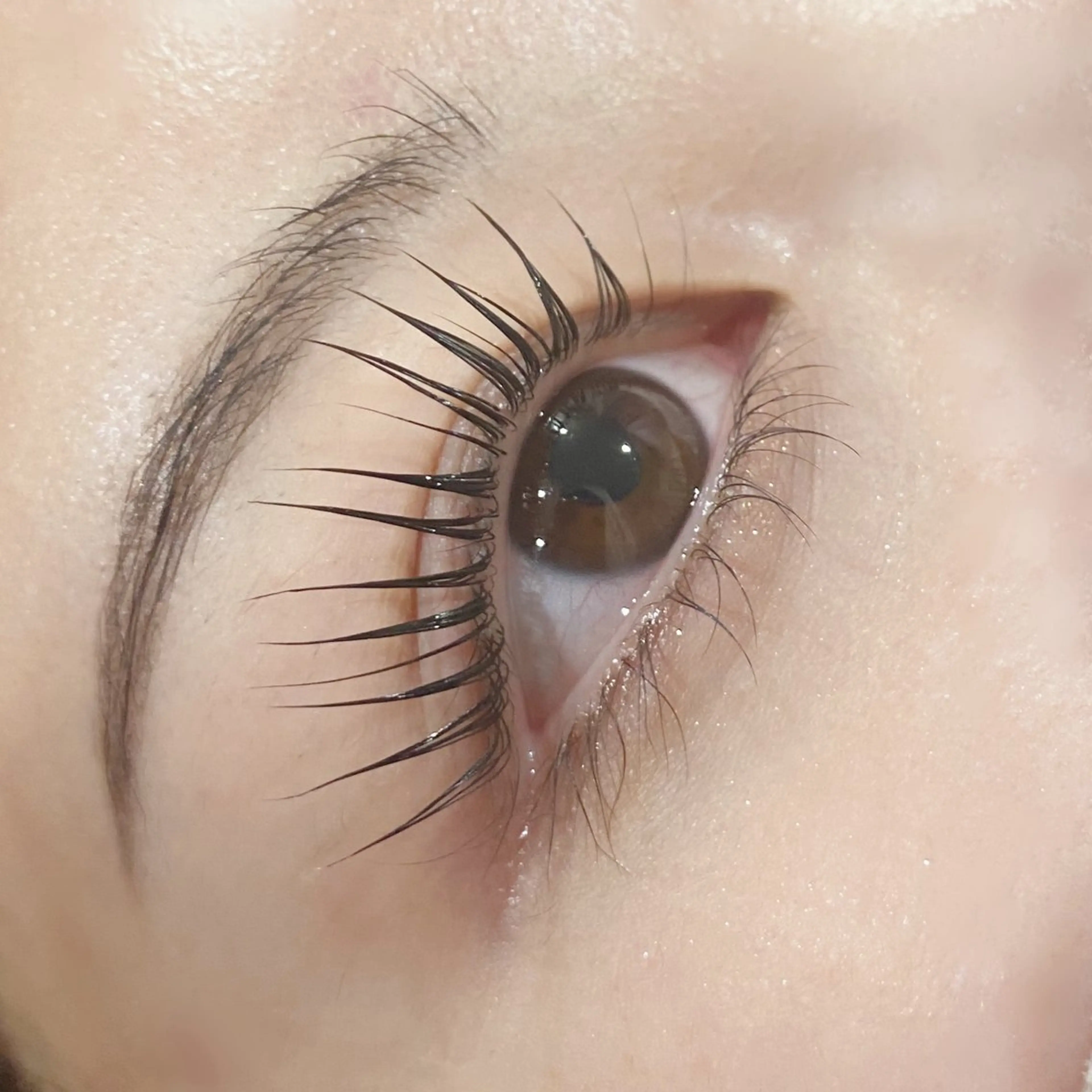 マツエク・マツパ パリジェンヌラッシュリフト マツパ Eyelash🌻 nakajimaのマツエク・マツパデザイン