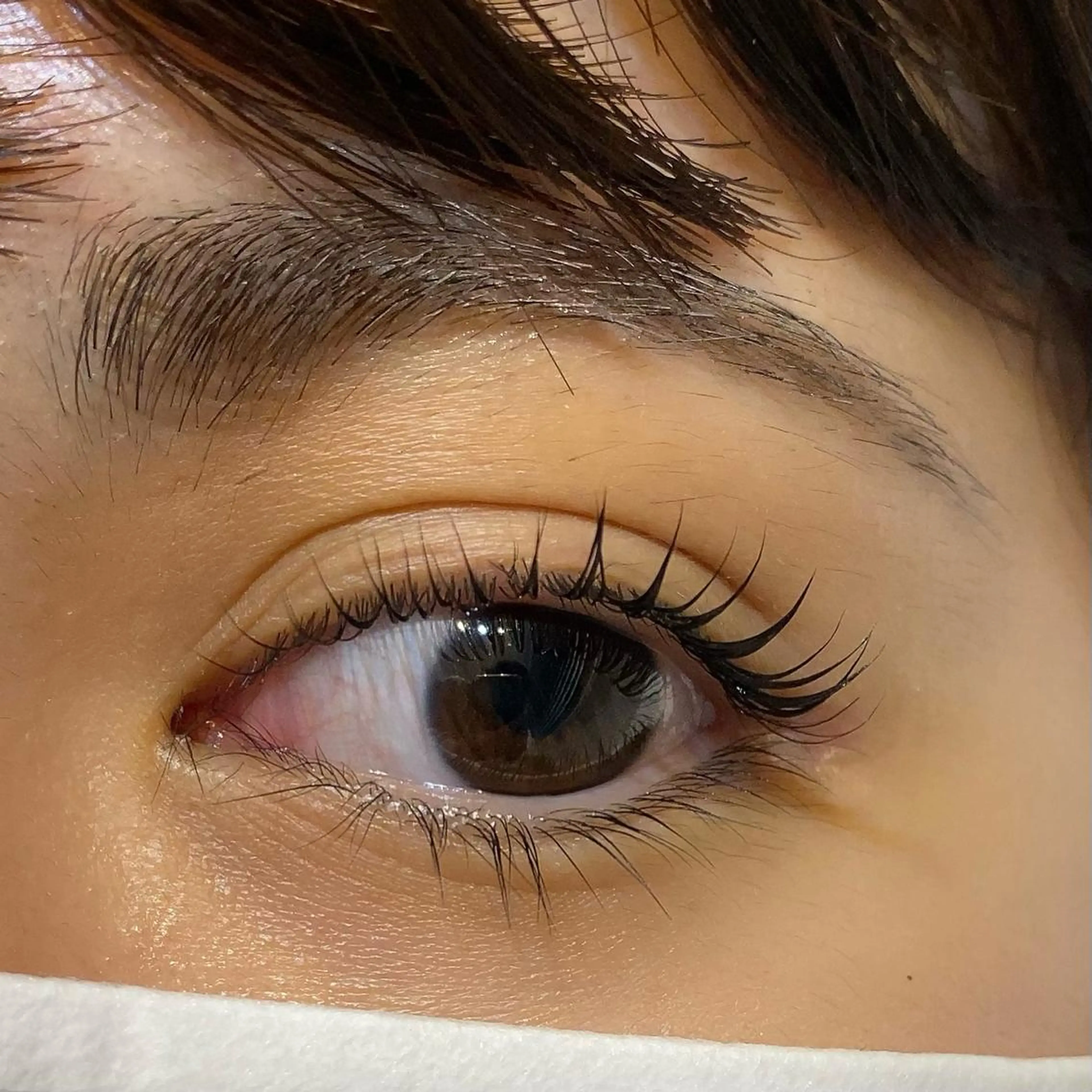 マツエク・マツパ 束感パリジェンヌ上下 恵比寿ayakaのマツエク・マツパデザイン