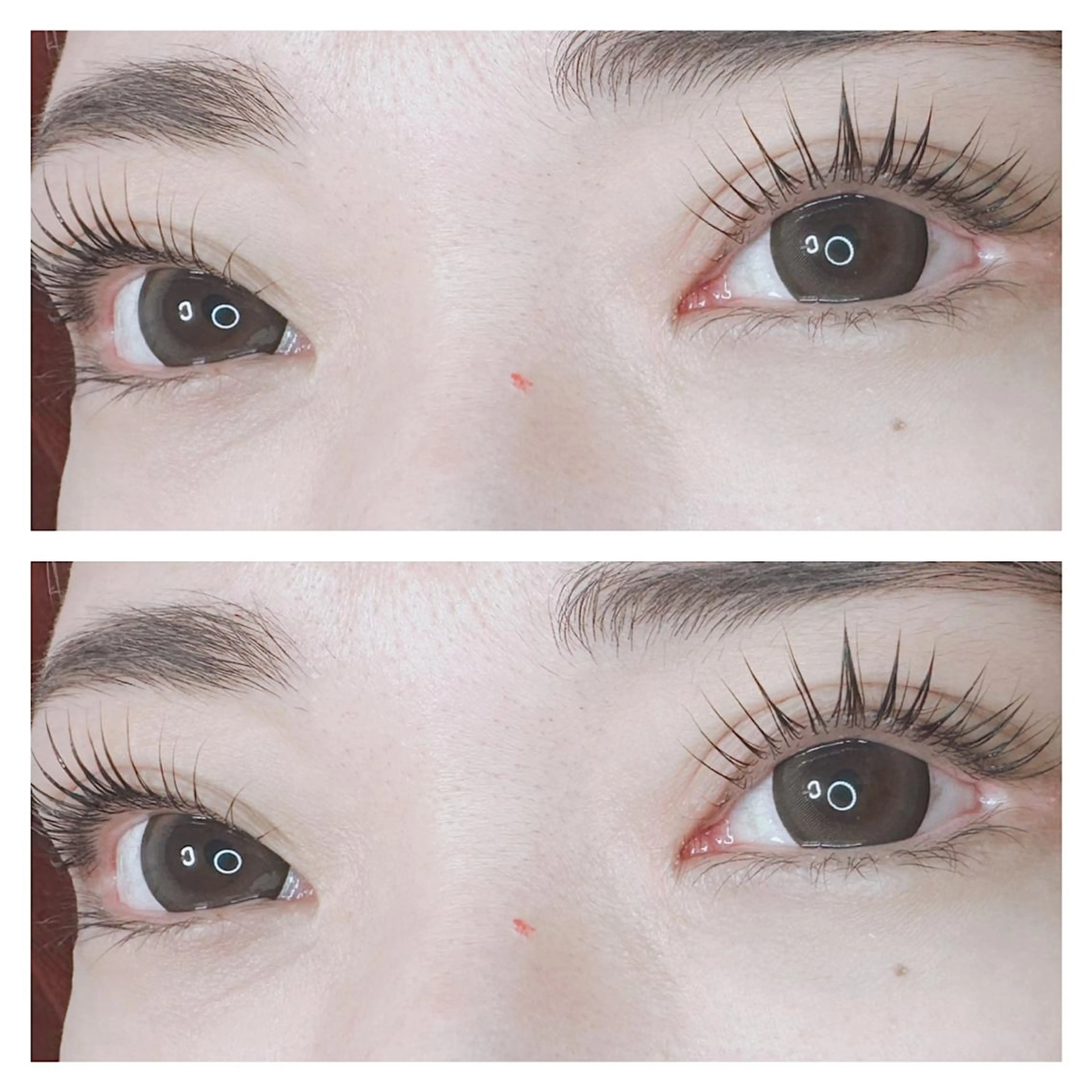 マツエク・マツパ パリジェンヌラッシュリフト 𝐉𝐎𝐋𝐈 アイリスト ❤︎のマツエク・マツパデザイン