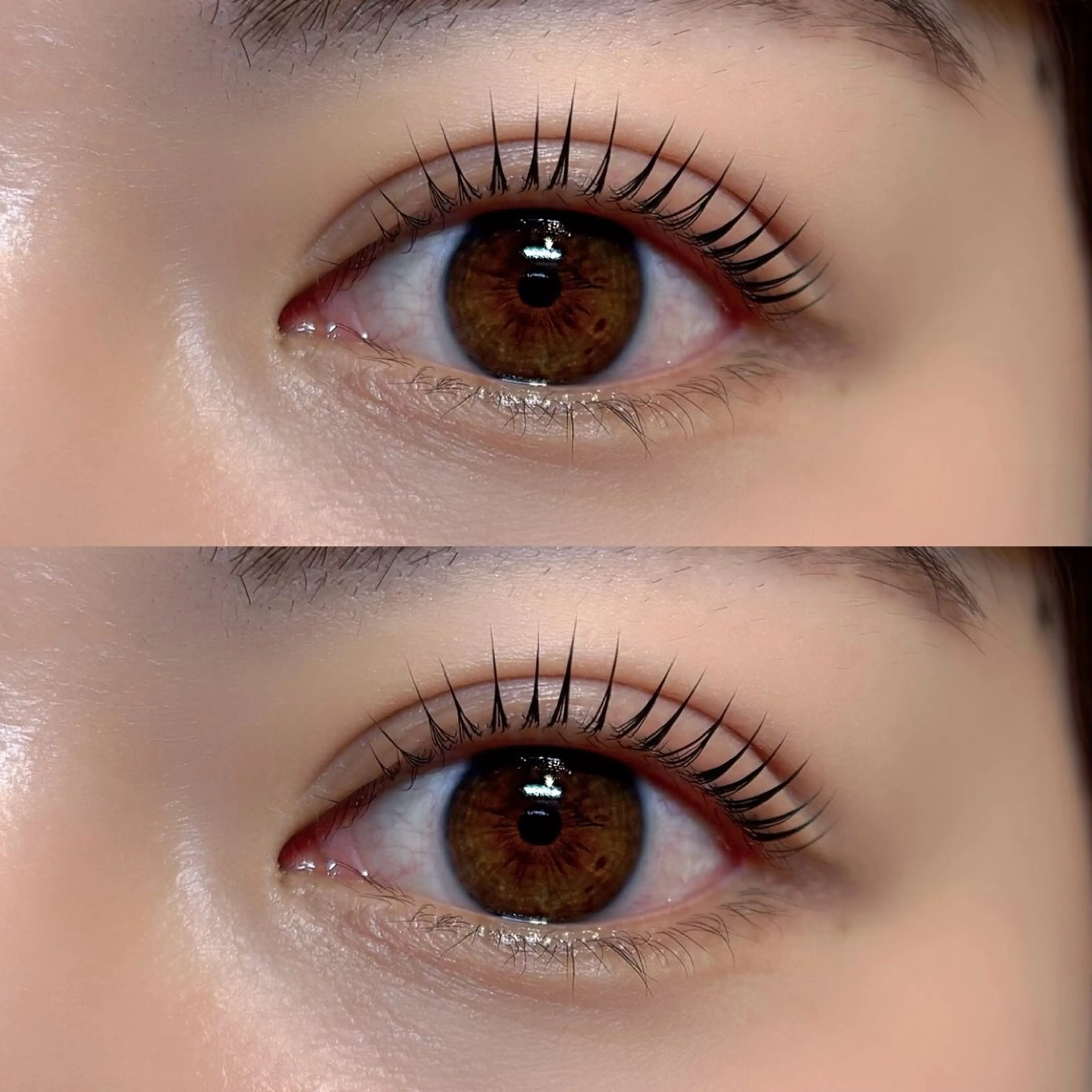 💚ご新規様限定💚似合わせまつ毛パーマ🎶の写真