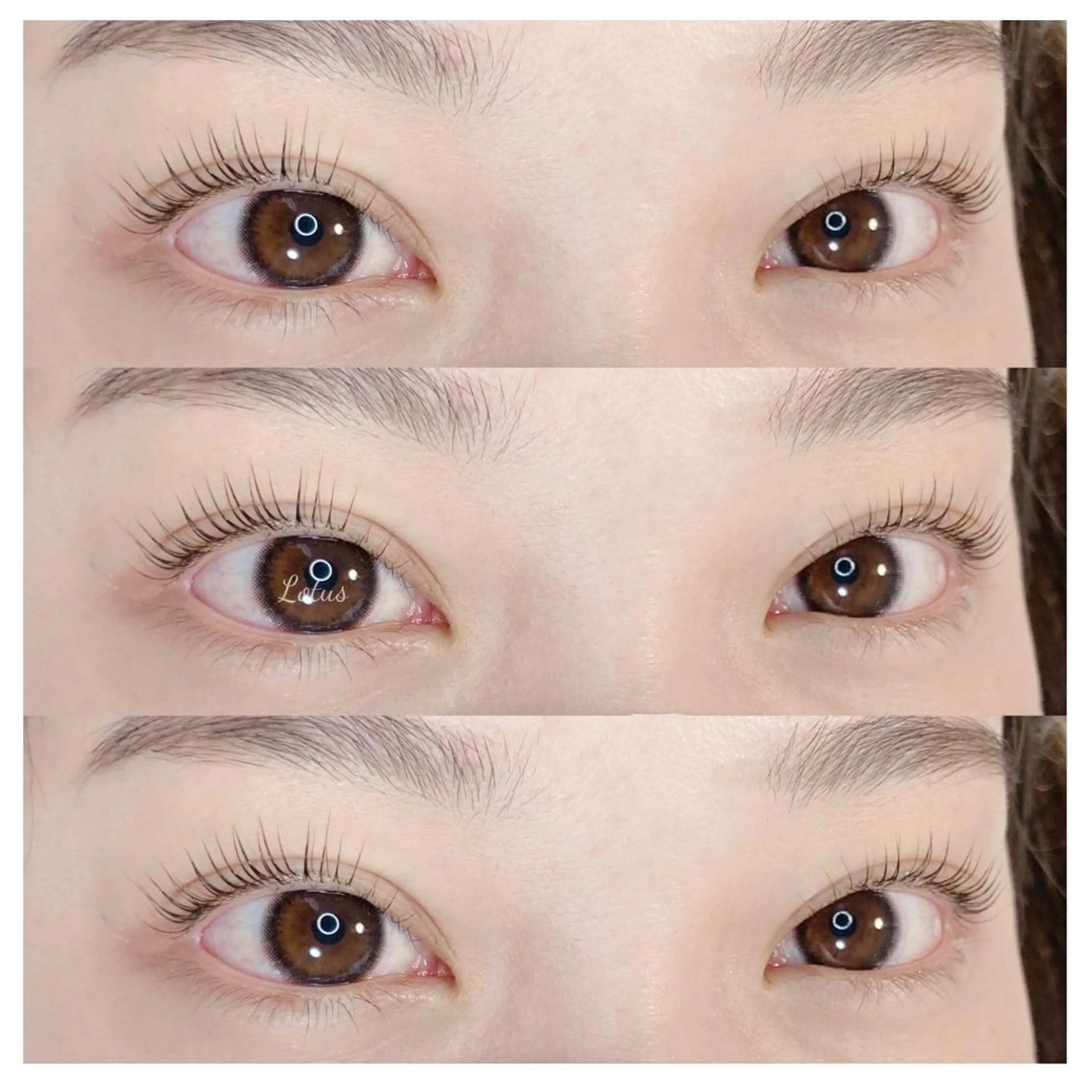 マツエク・マツパ Lotus所属・Lotus ロータスのマツエク・マツパデザイン