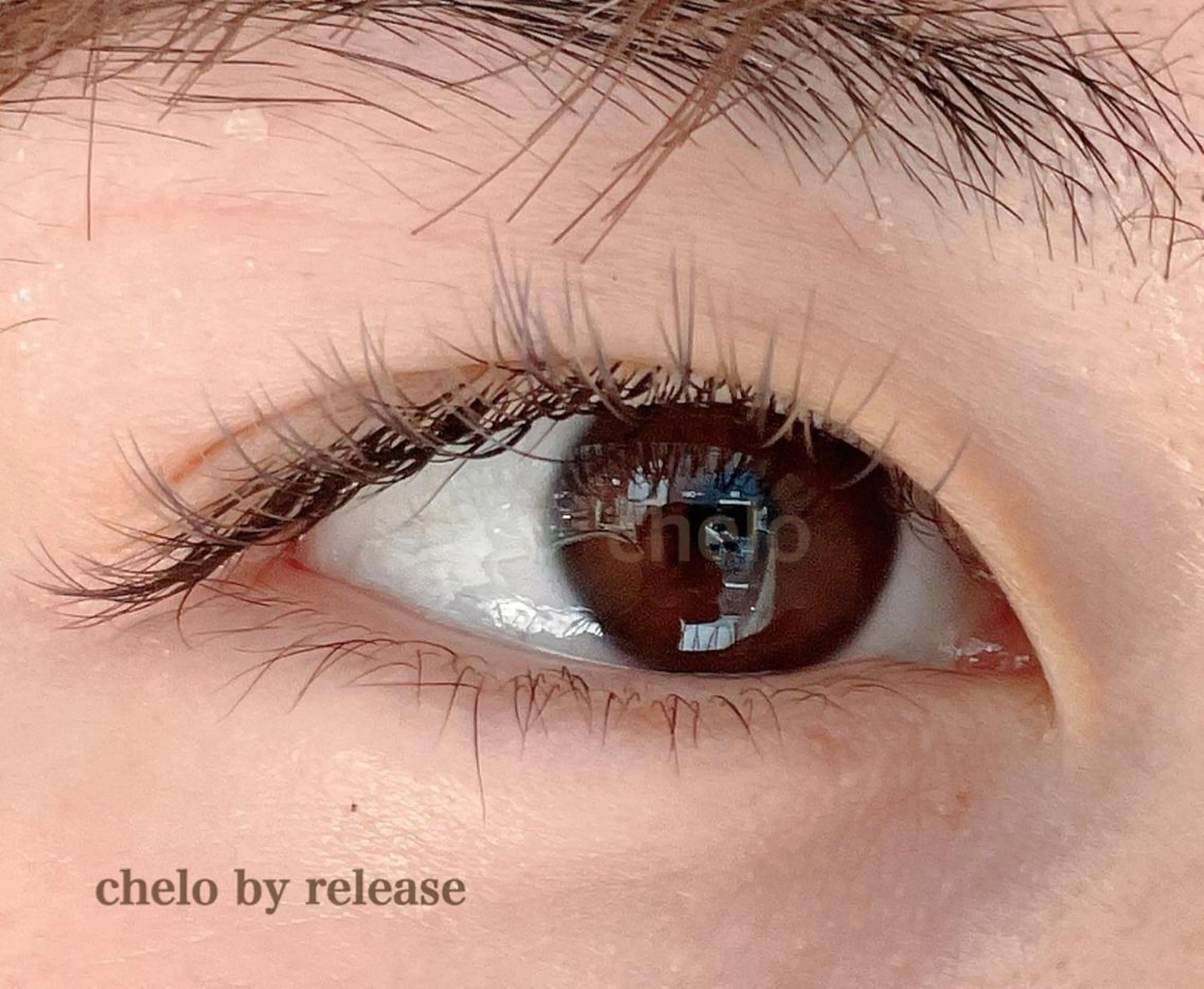 マツエク・マツパ フラットラッシュ BELLE  U KONDOのマツエク・マツパデザイン