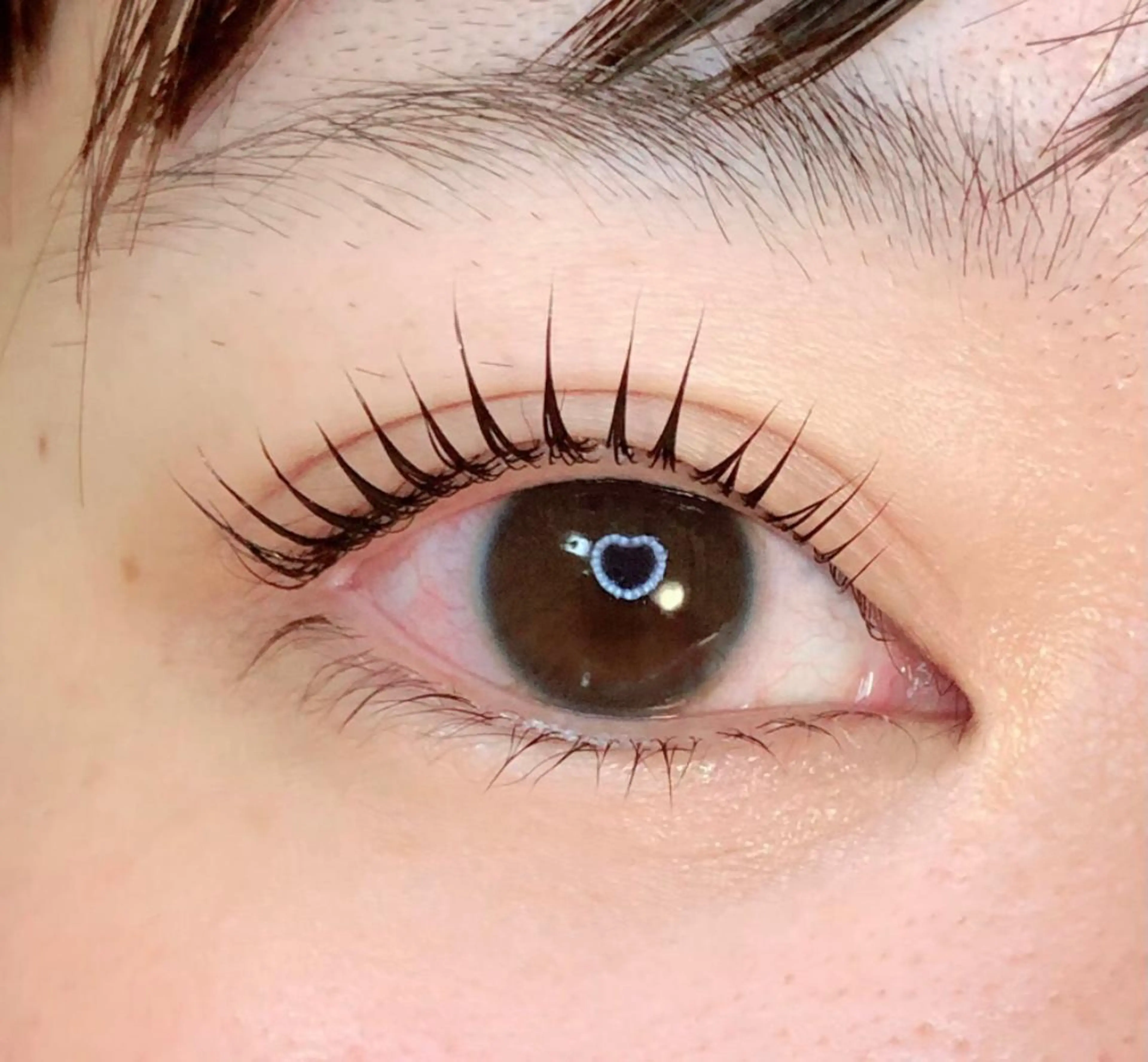 マツエク・マツパ 脱毛 morel モレルのマツエク・マツパデザイン