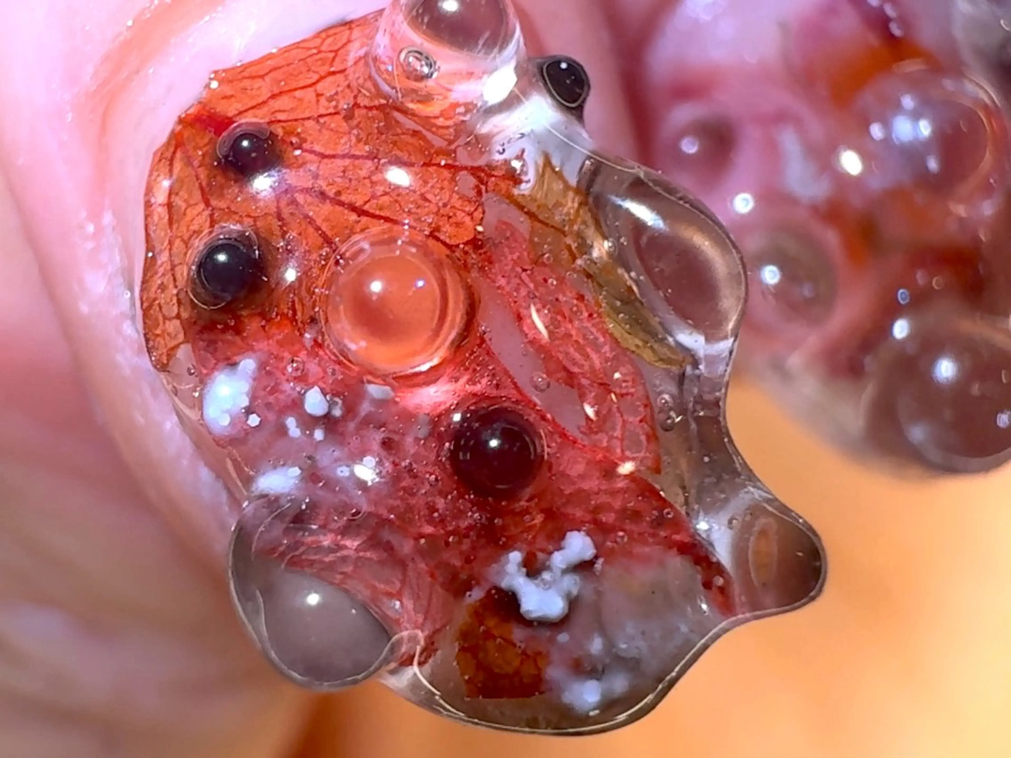 ネイル ハンドネイル ハンドケア ＊爪神＊ 珠裕‪ miyuのネイルデザイン