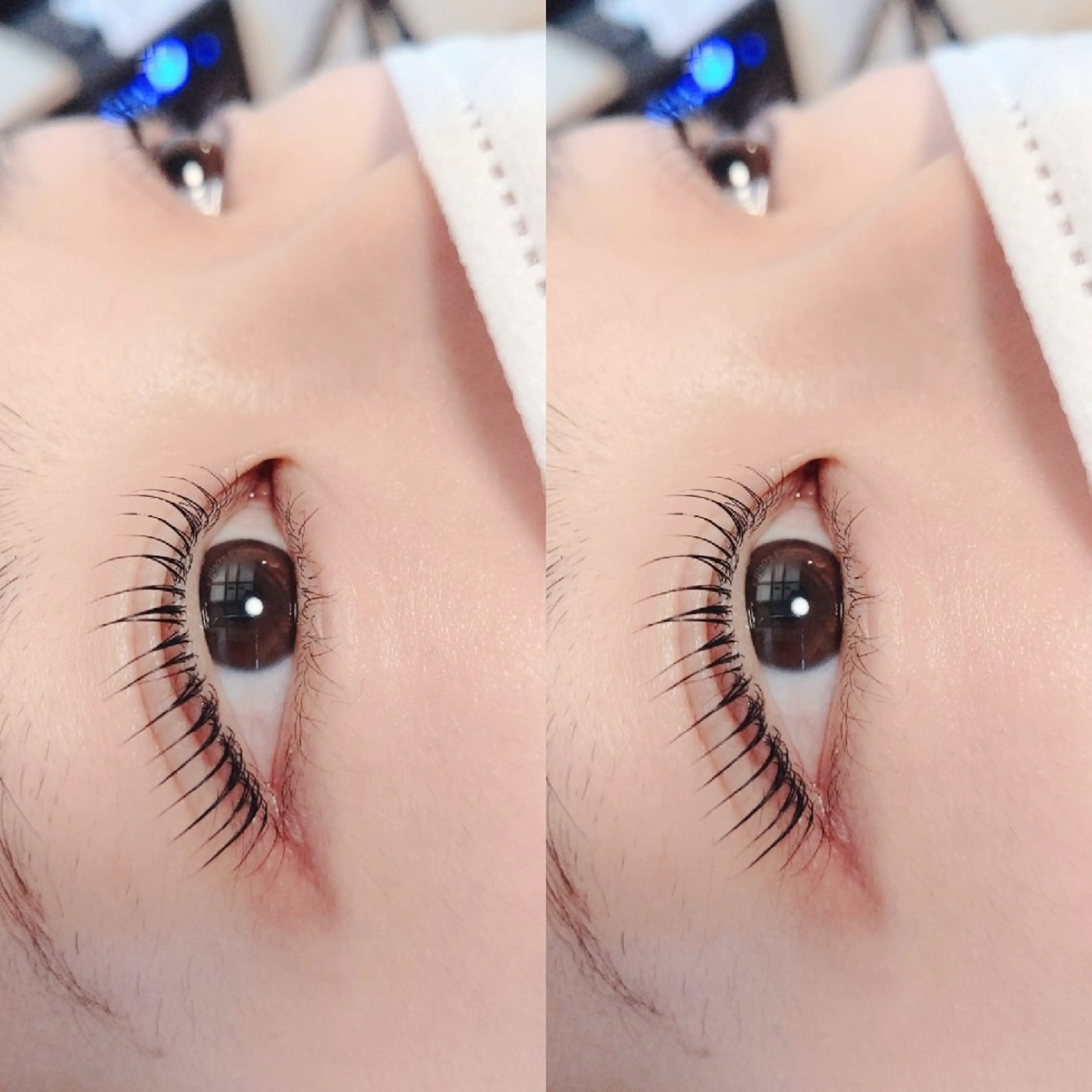 mascaraperm【ティントまつげ】の写真