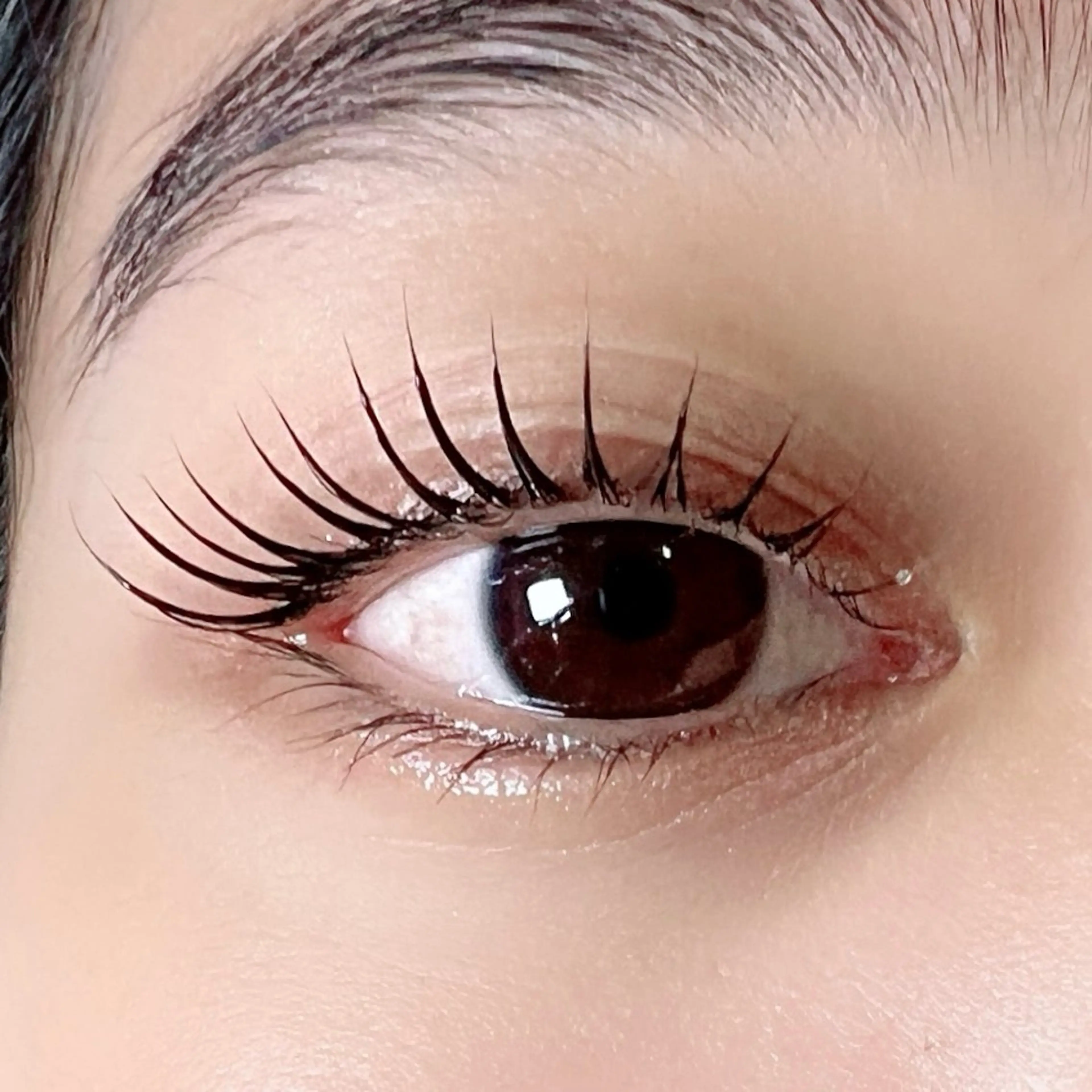 【ご新規様限定】パッチリまつげパーマ（上のみ）＋3stepトリートメント　※お写真を撮ってSNSに載せても良い方の写真