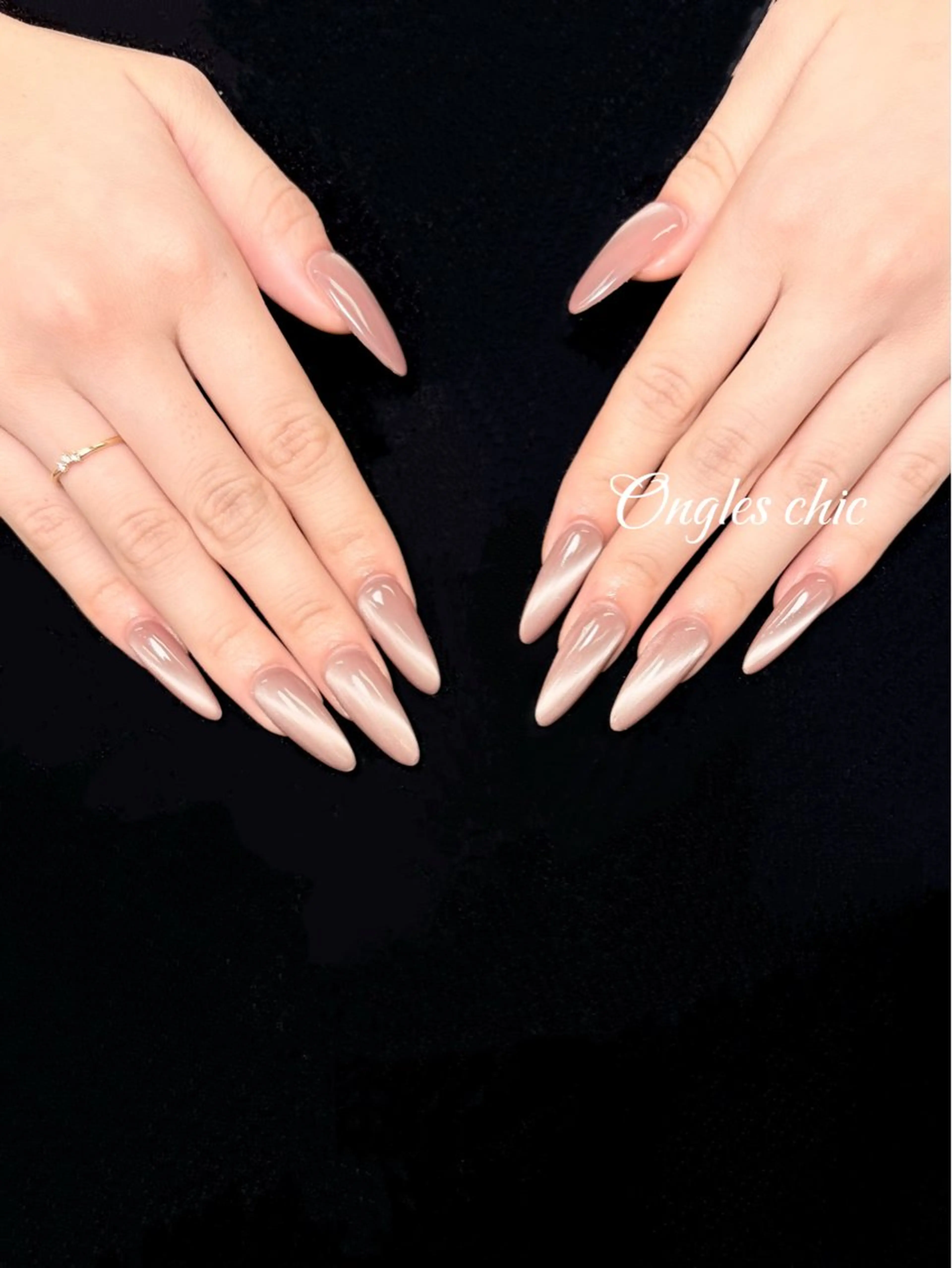 ネイル ハンドネイル ongles chicのネイルデザイン