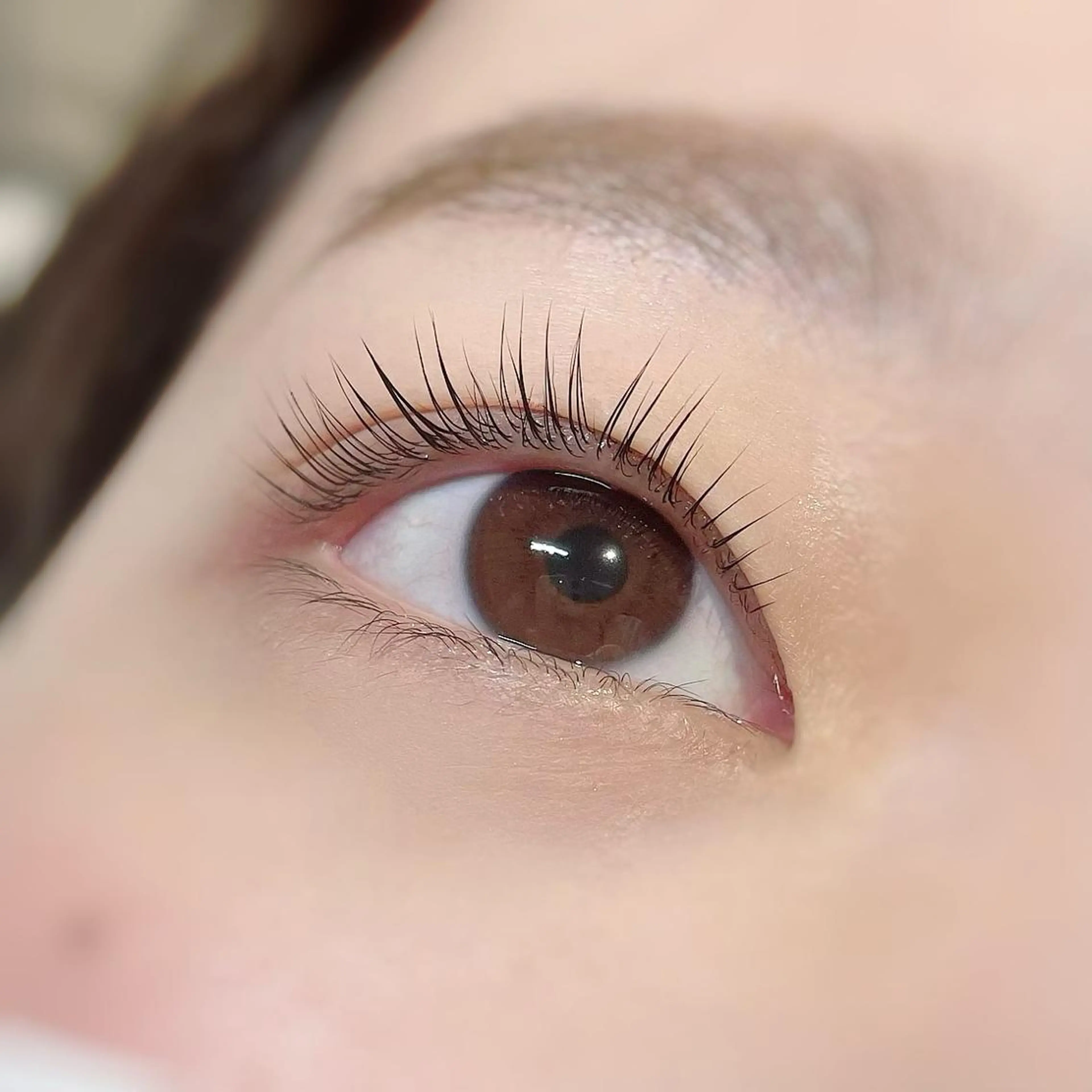 マツエク・マツパ パリジェンヌラッシュリフト EYEMAJIC Pure★高見の眉毛・アイブロウイメージ