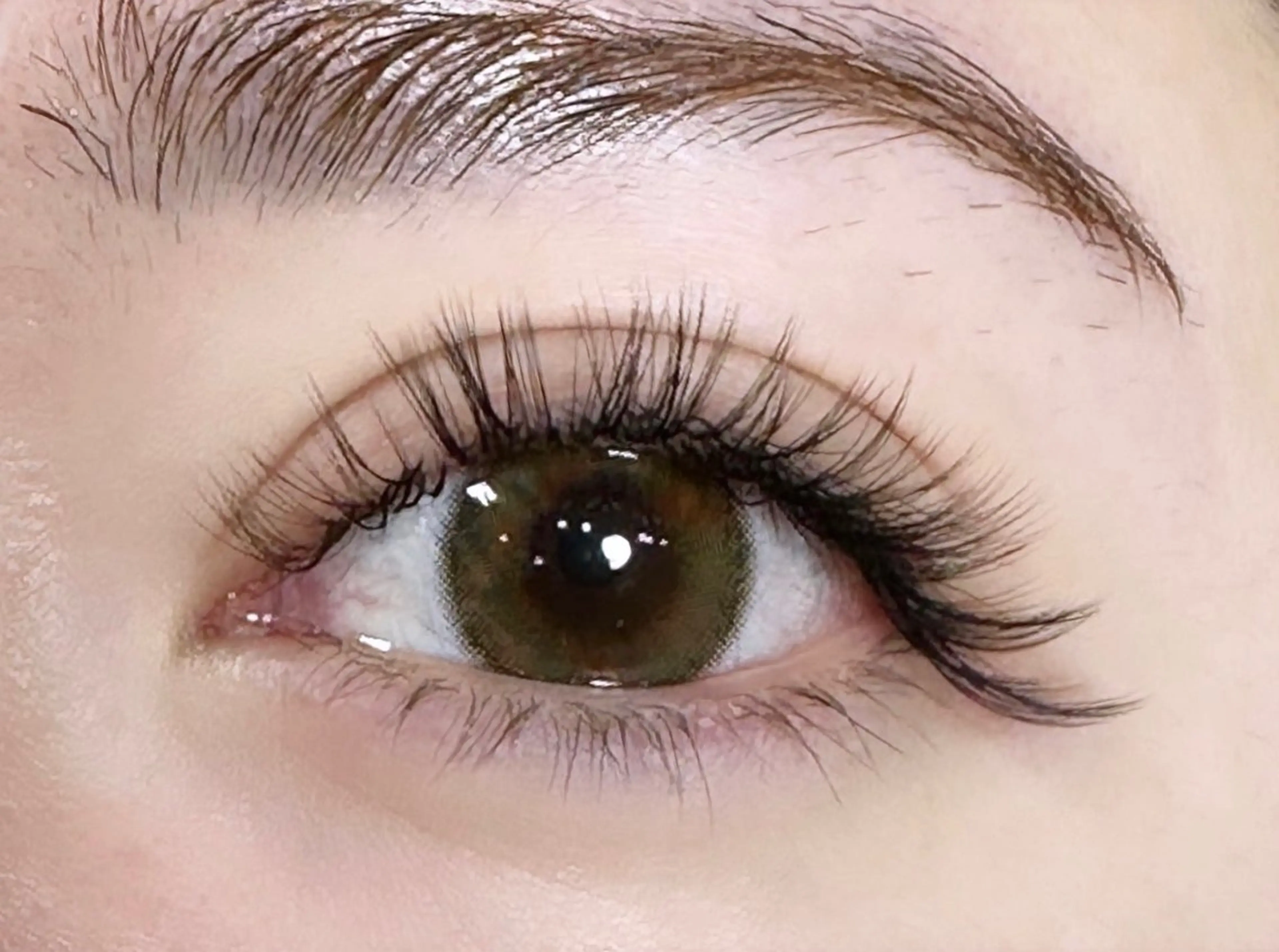 3Dボリュームラッシュ420本《片目70束》の写真