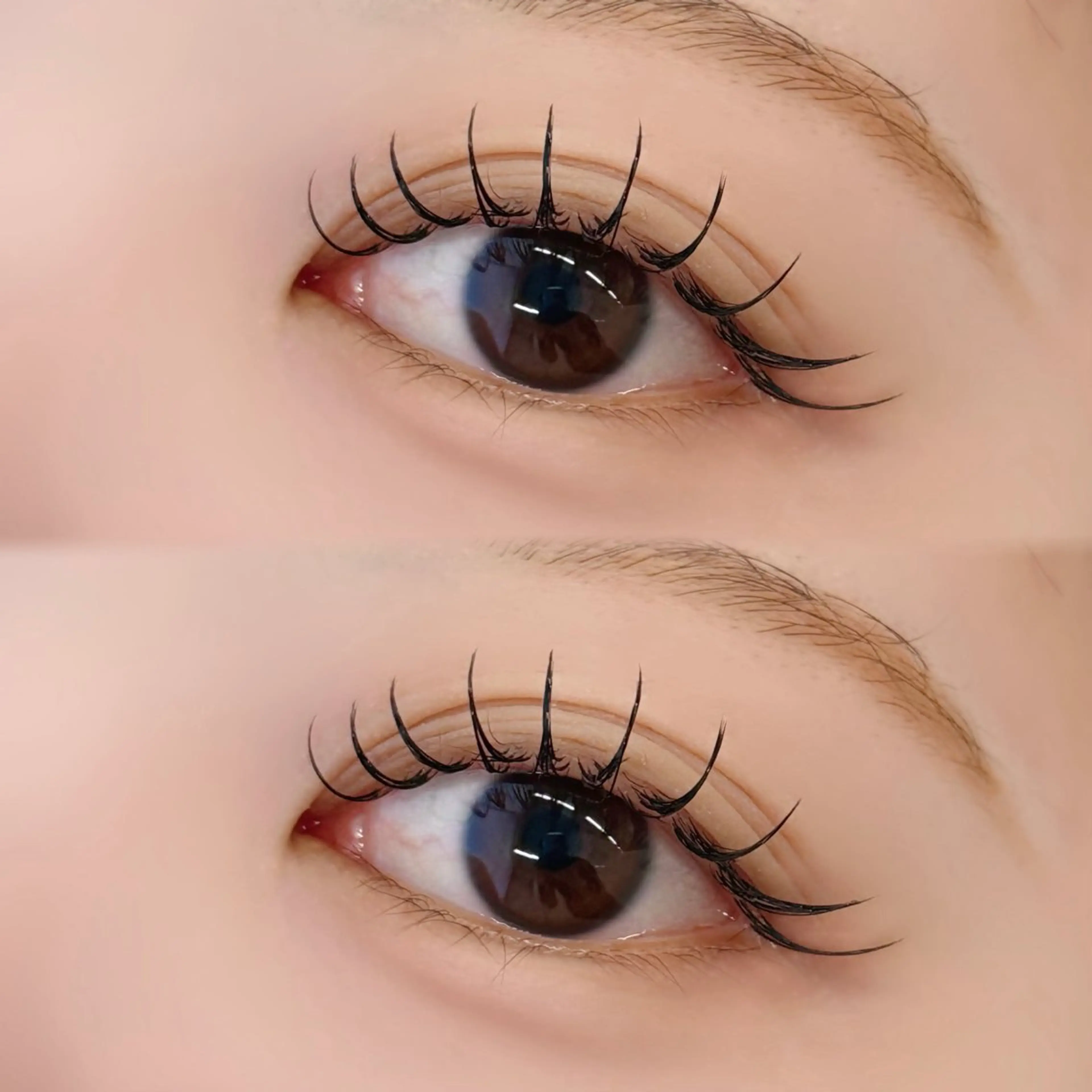 マツエク・マツパ フラットラッシュ 韓国風マツエク マツエク しみず🌙💭 ぱっちり束感/横浜のマツエク・マツパデザイン