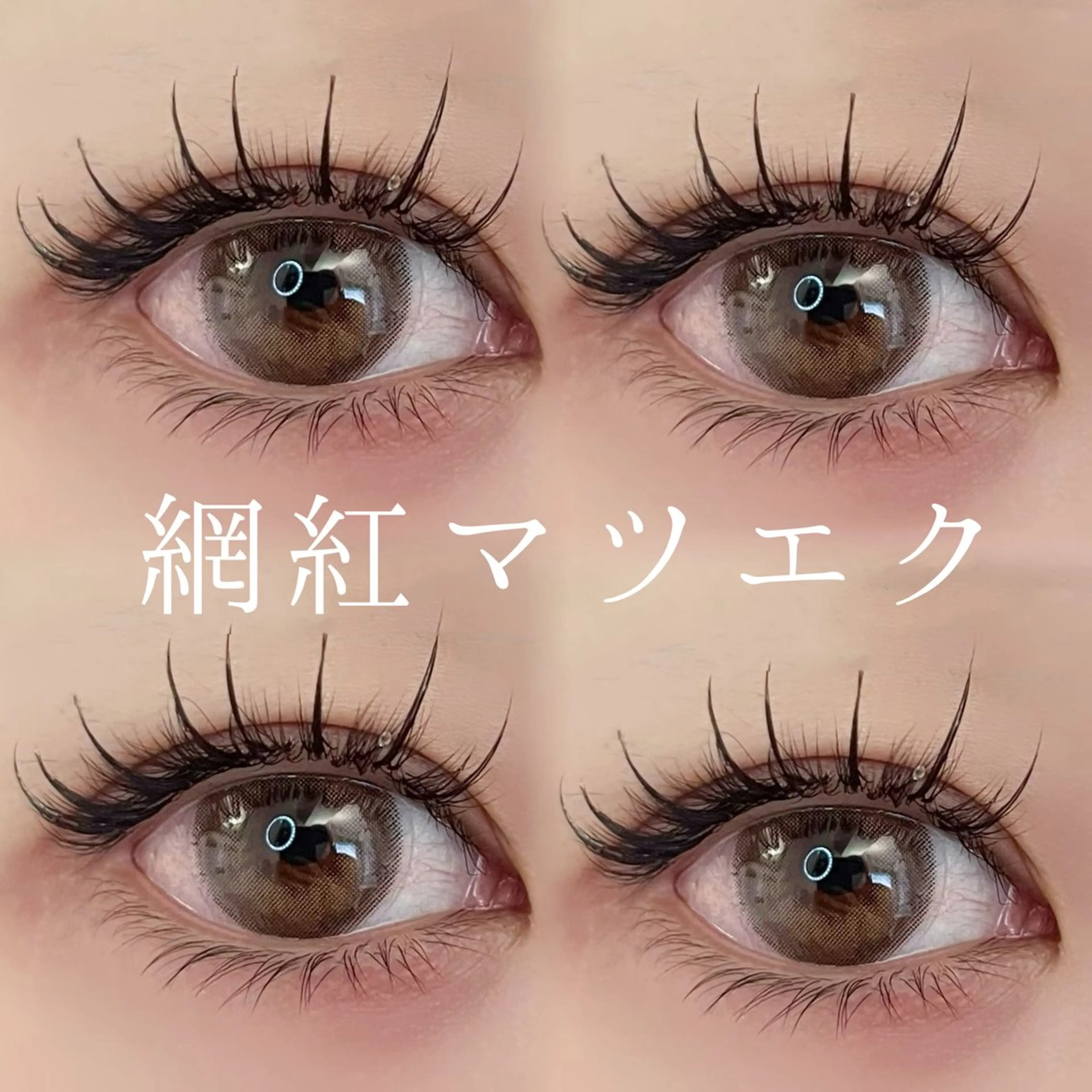 束感まつ毛🤍ワンホンマツエク100束保証オフ込みの写真