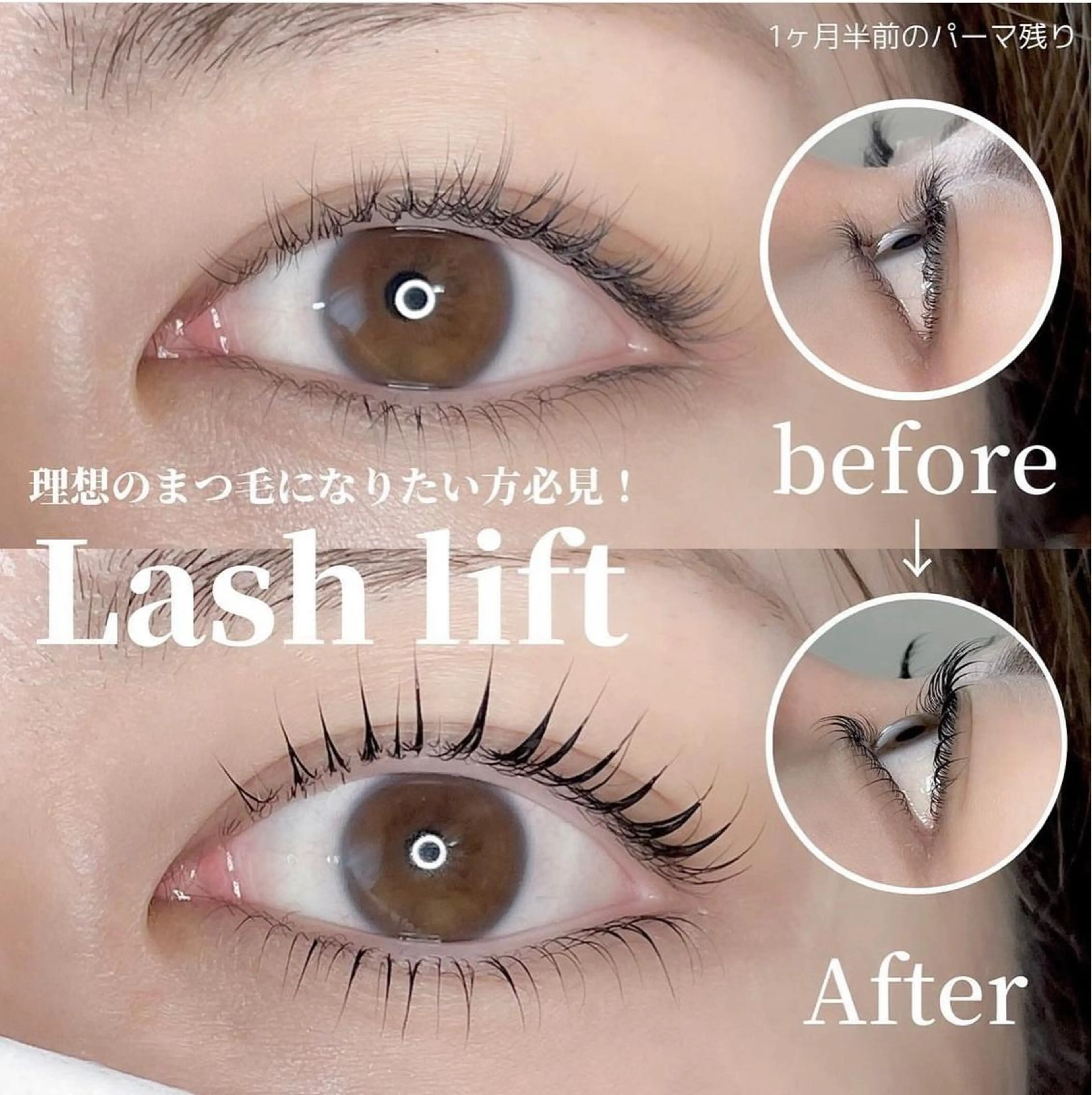 マツエク・マツパ 下まつげエクステ 一重×まつ毛パーマ Fukaya Annaのマツエク・マツパデザイン