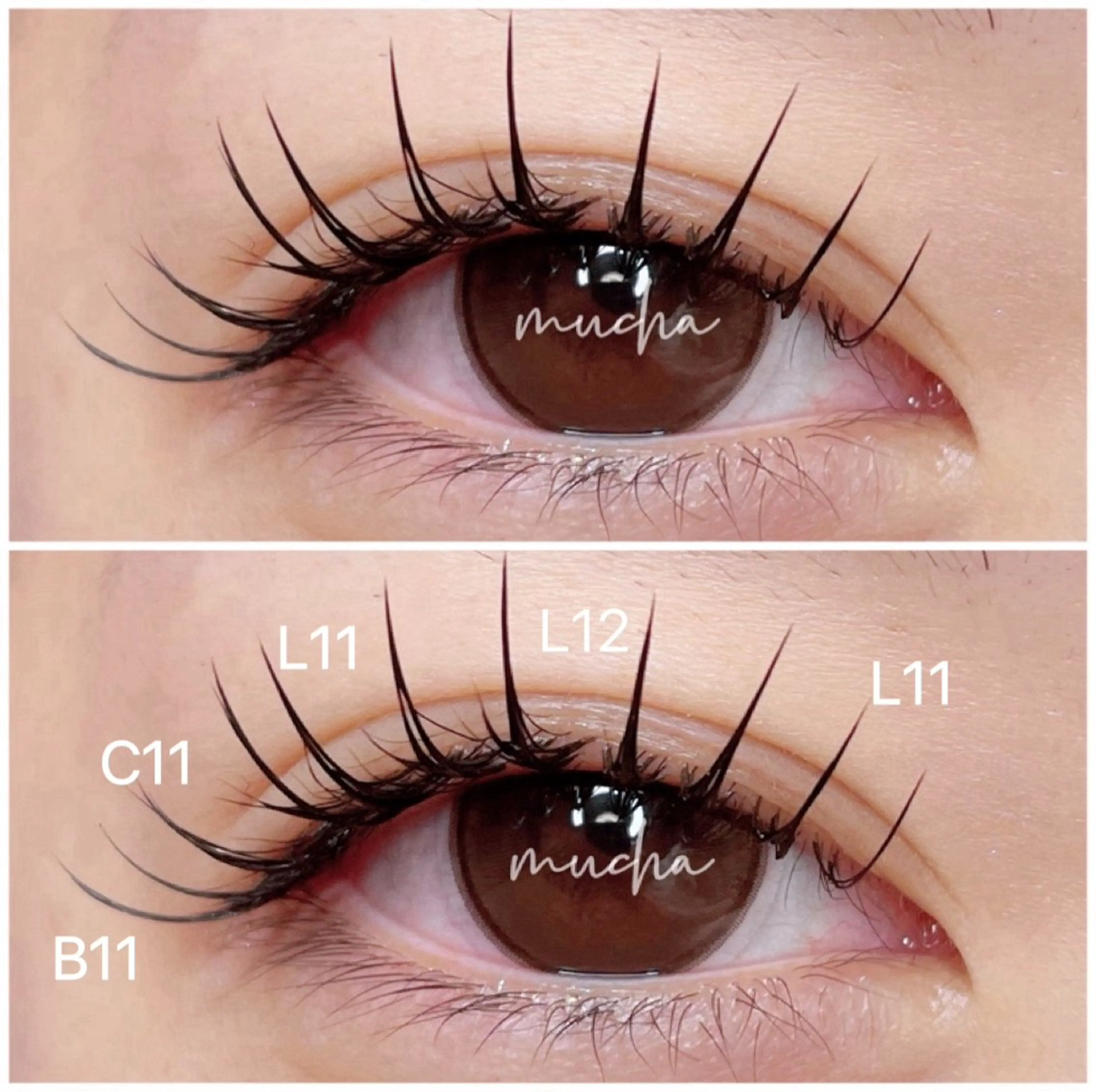 マツエク・マツパ Bカール Cカール フラットラッシュ Lカール マツエク eyelash muchaのマツエク・マツパデザイン
