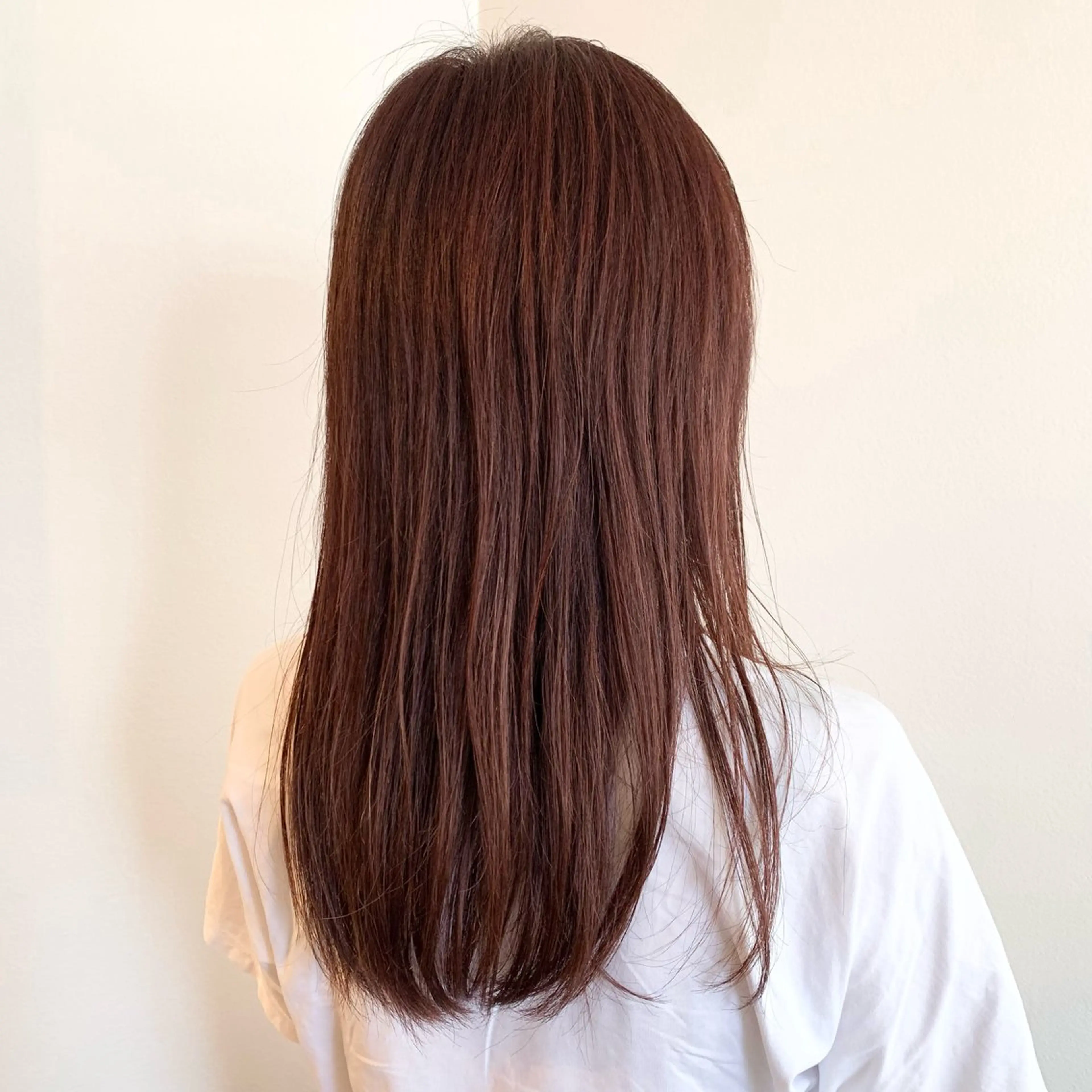 ロング カラー ブラウンカラー ピンクカラー ピンクブラウン elua kanekoの眉毛・アイブロウイメージ