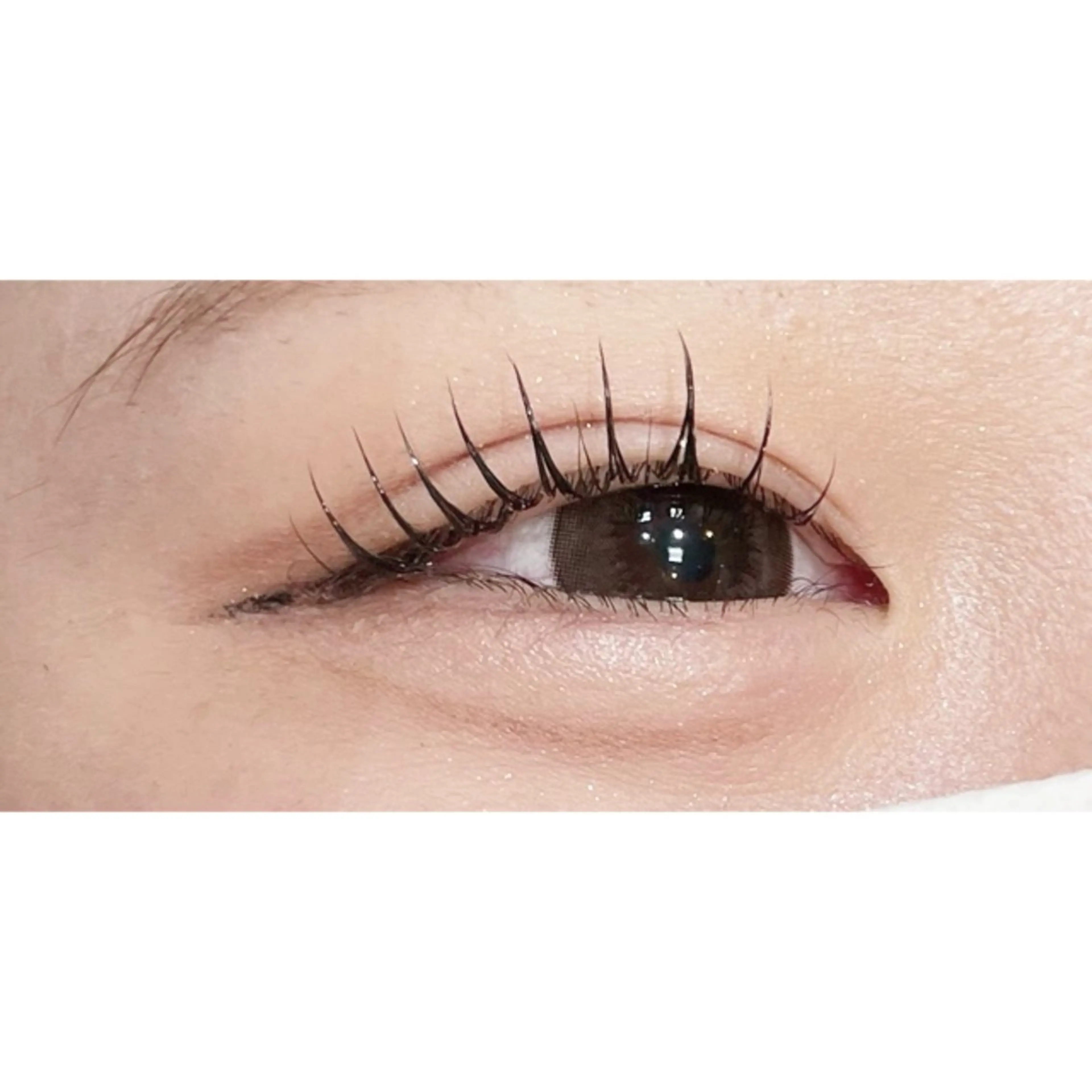 マツエク・マツパ アルターエクラ ⟡.🎼 mikiのマツエク・マツパデザイン